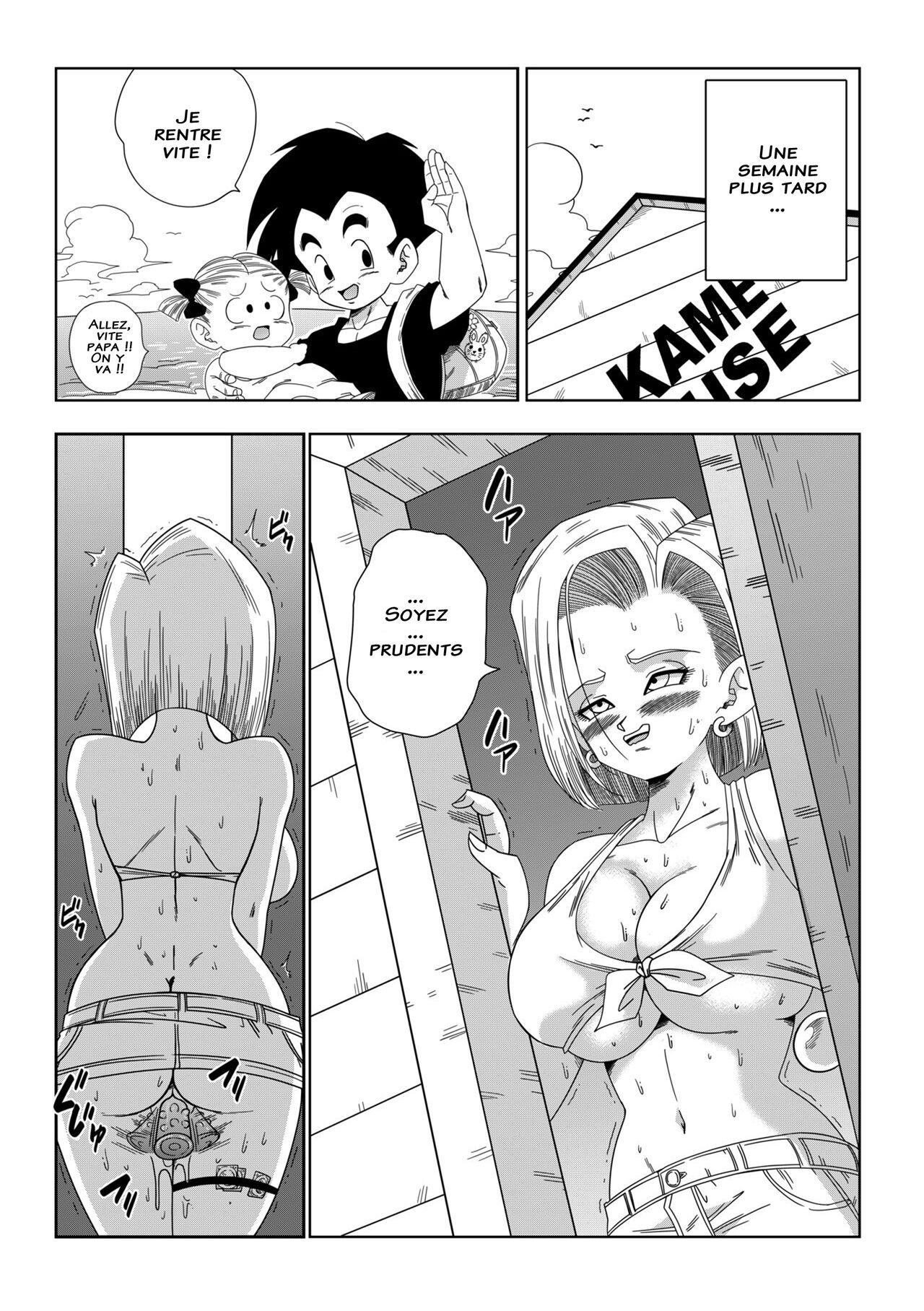 yamamoto - C18 VS Kamesenin - Français 图片编号 29