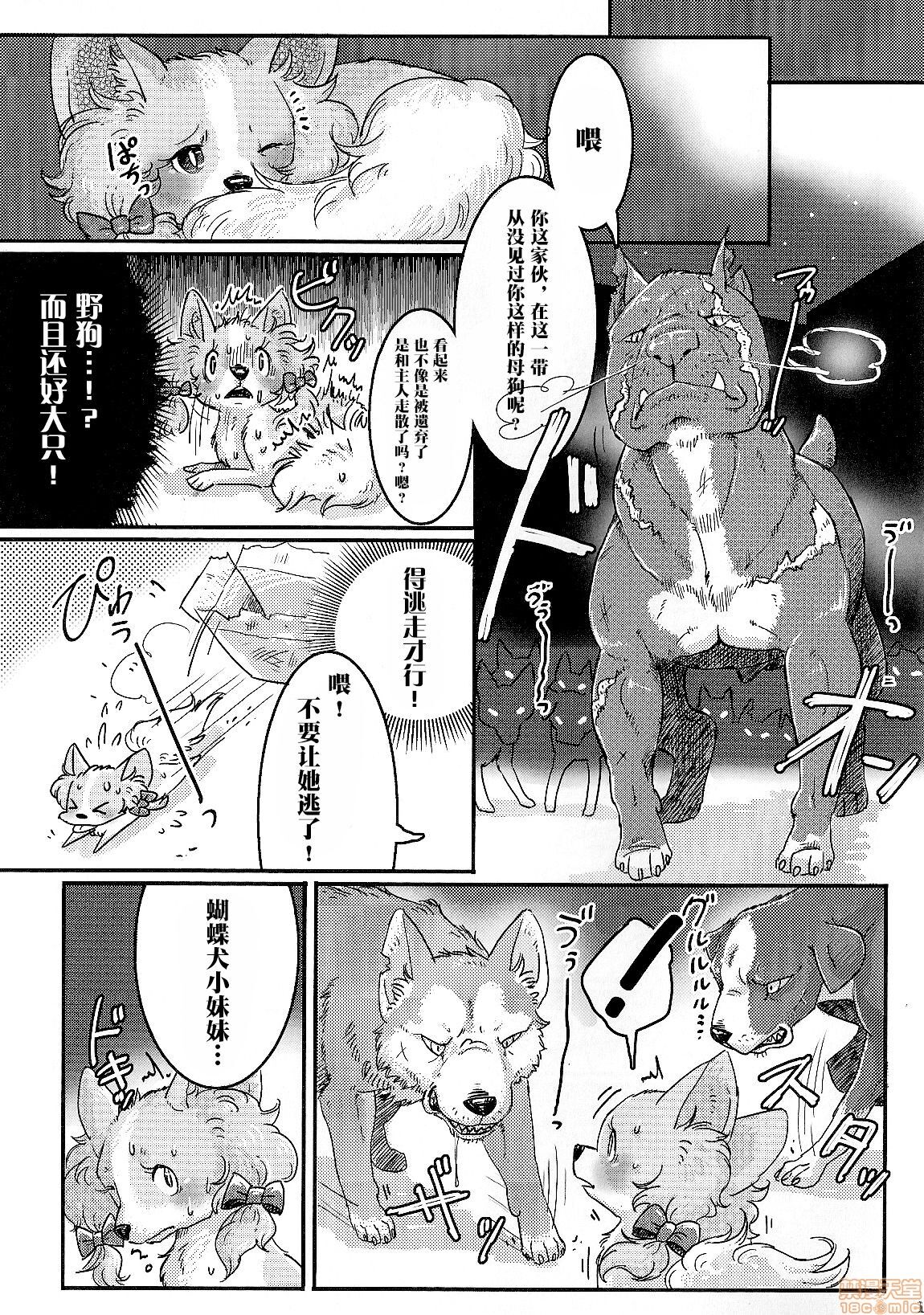 hruinfryj image number 14