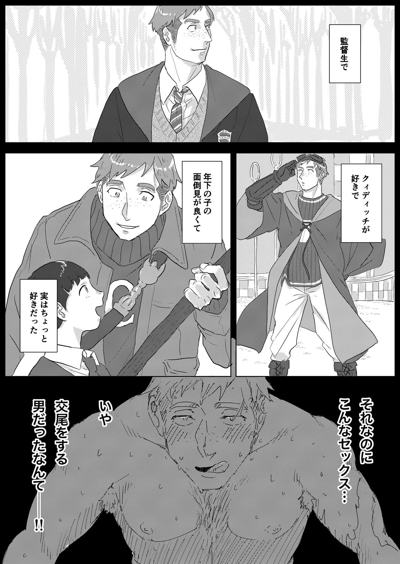 [Matsuko04] Did we just talk about dragons? (Harry Potter) image number 12