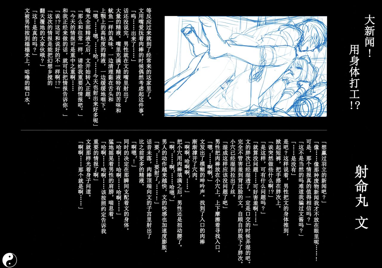 (C86) [Chroma of Wall (saitom)] Gensoukyou Inkou Kirokushuu (Touhou Project) [Chinese] [eve个人重嵌] [Decensored] [Digital] 이미지 번호 11