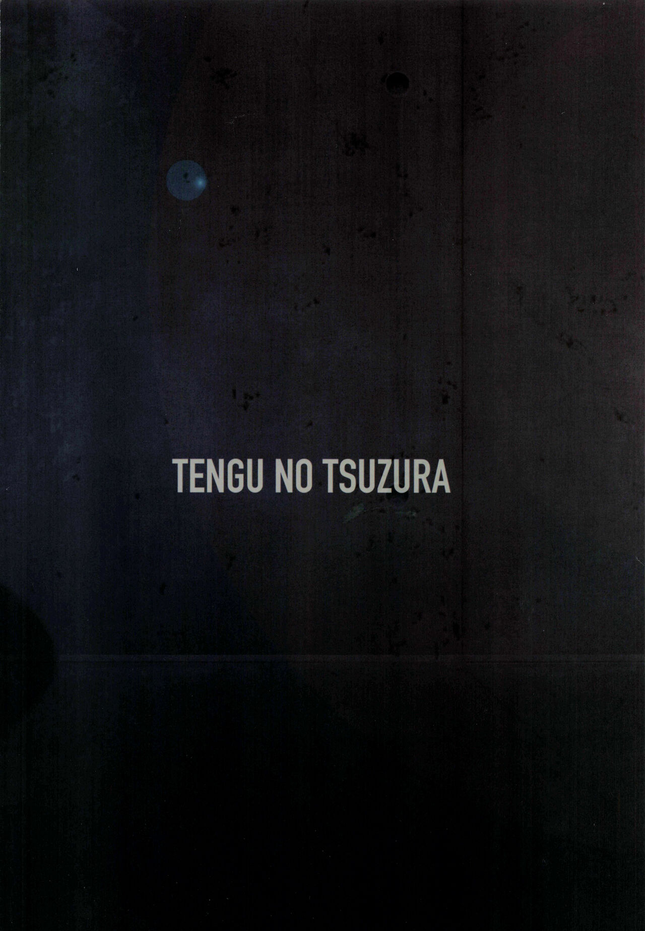 [TENGU NO TSUZURA (Kuro Tengu)] 0208 (Neon Genesis Evangelion) [French] 图片编号 30