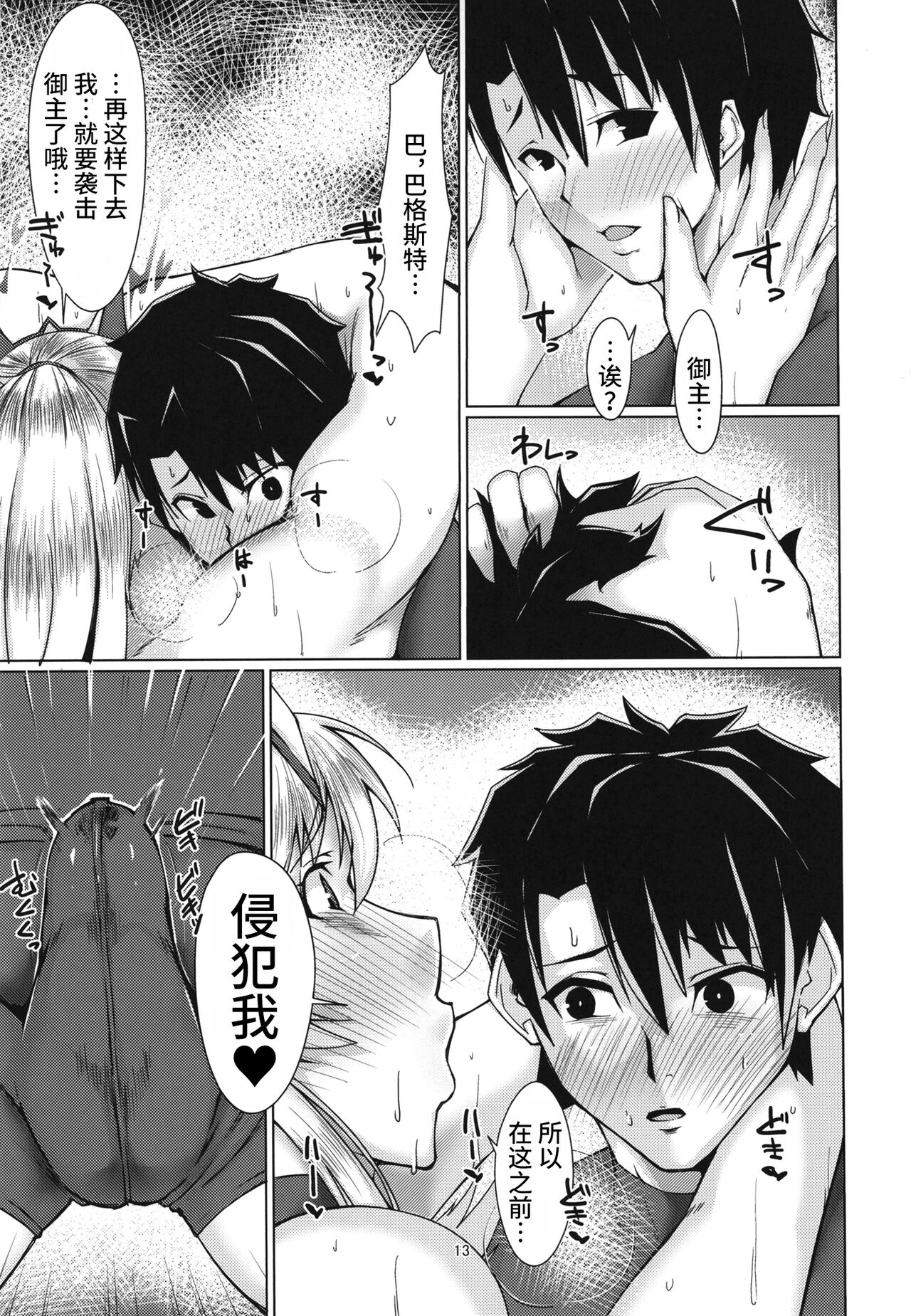 [Remnants (Shirizou)] Ai Kan Hatsu Jou (Fate/Grand Order) [Chinese] [黎欧出资汉化] [Digital] 图片编号 13