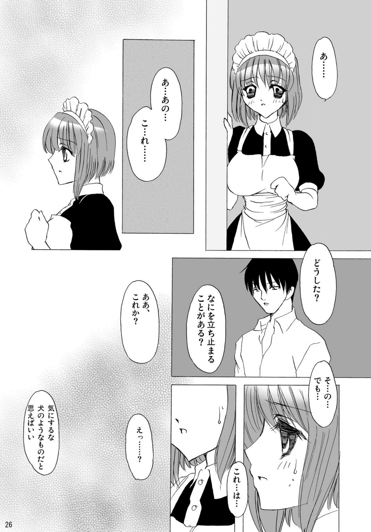 [vanilla ninja (Baninin)] Baninin  [Digital] 图片编号 25