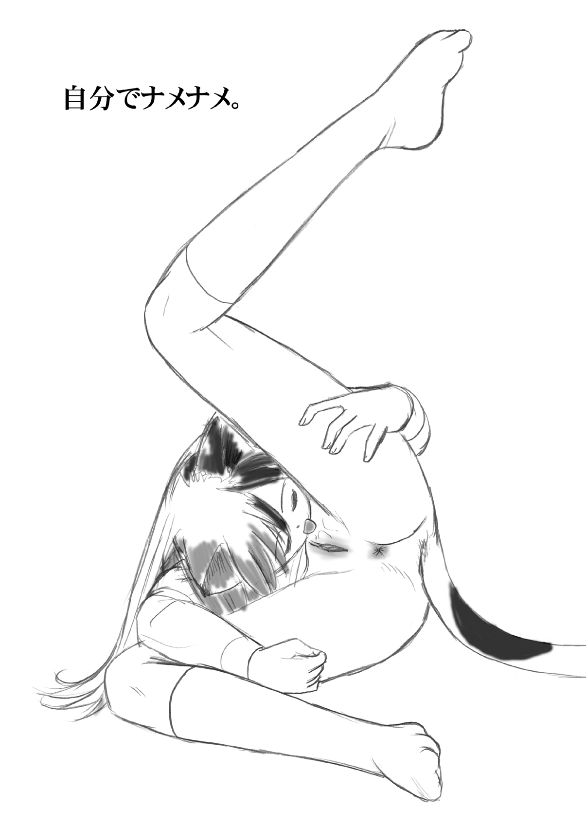 [Nighthawk Project (Nighthawk)] Minamike (Minami-ke) [Digital] [Decensored] 이미지 번호 10