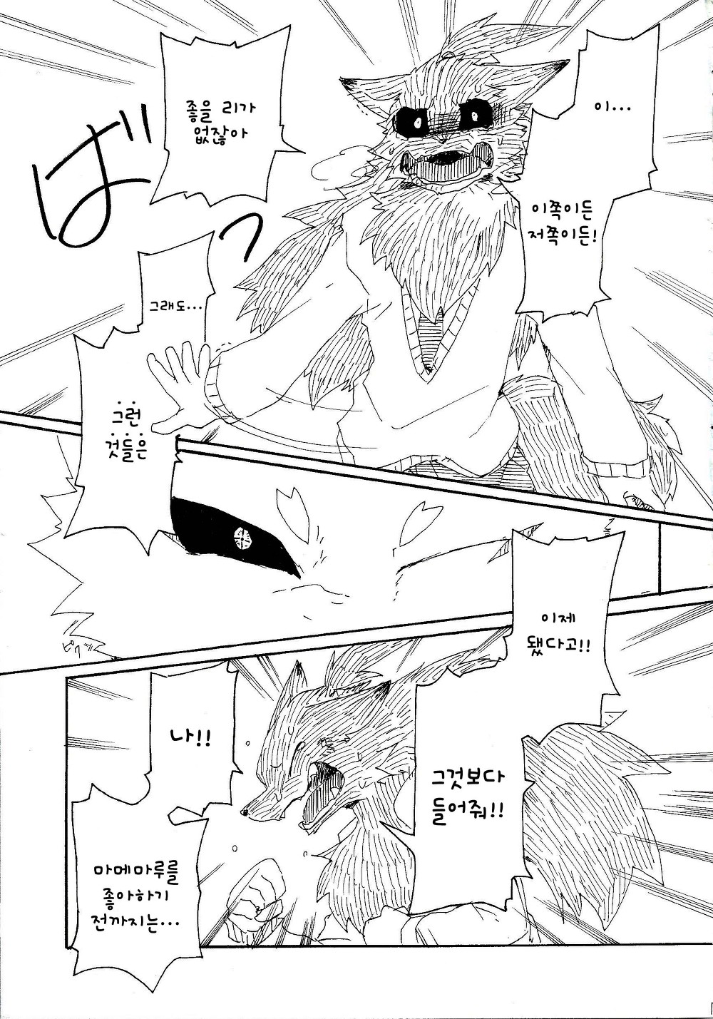 Fuyu and Mame Maru 3 Bildnummer 11