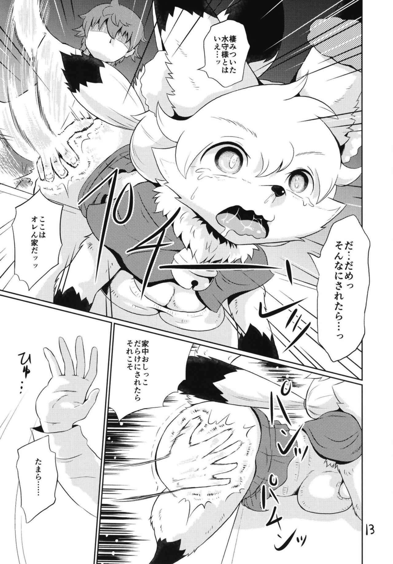 (C95) [Two Tone Color (Colulun)] Mizumori no Oshikkitsune 图片编号 13