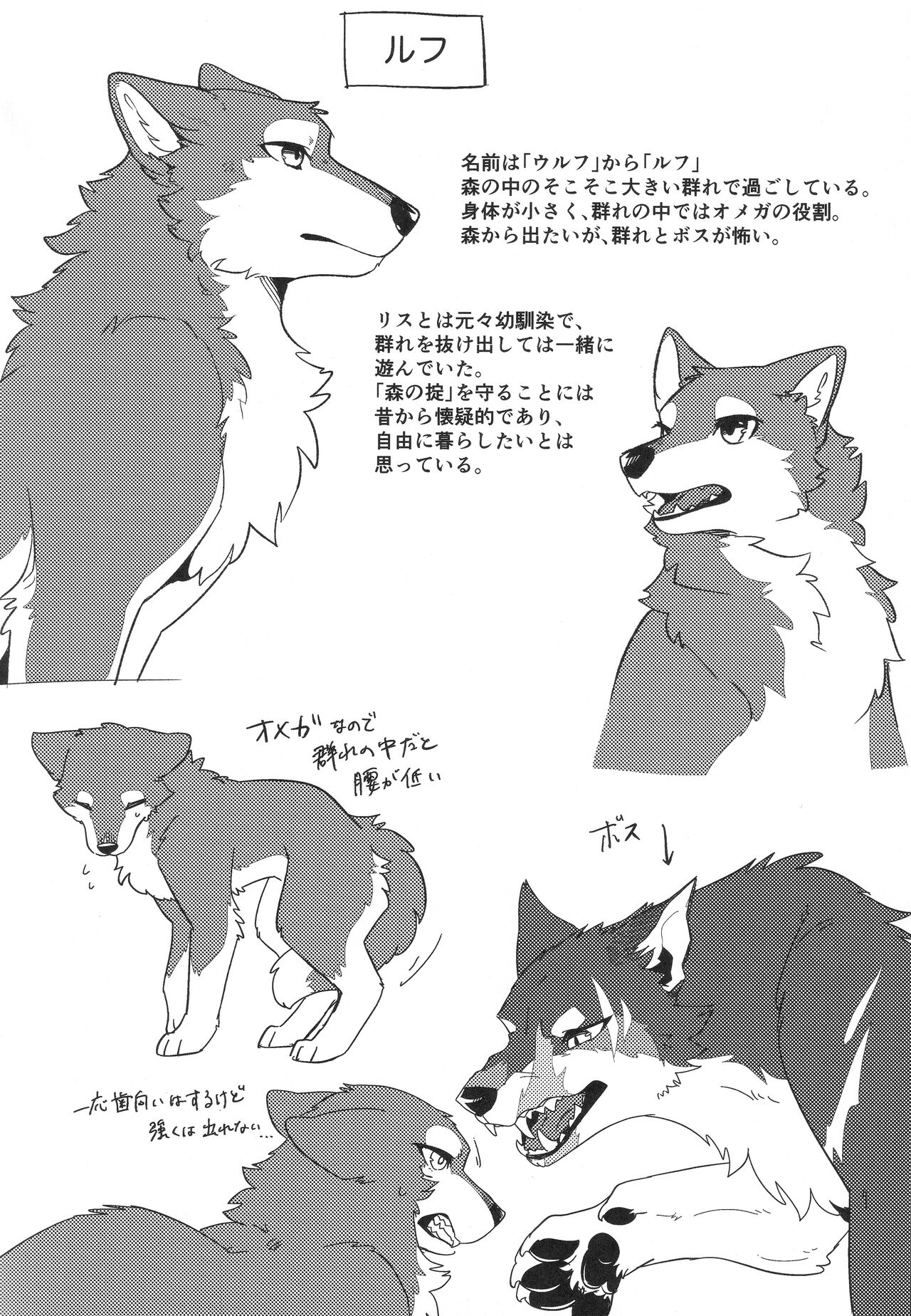 (Kemoket 12) [D-Point! (Diga Tsukune)]  IN THE FOREST 图片编号 17