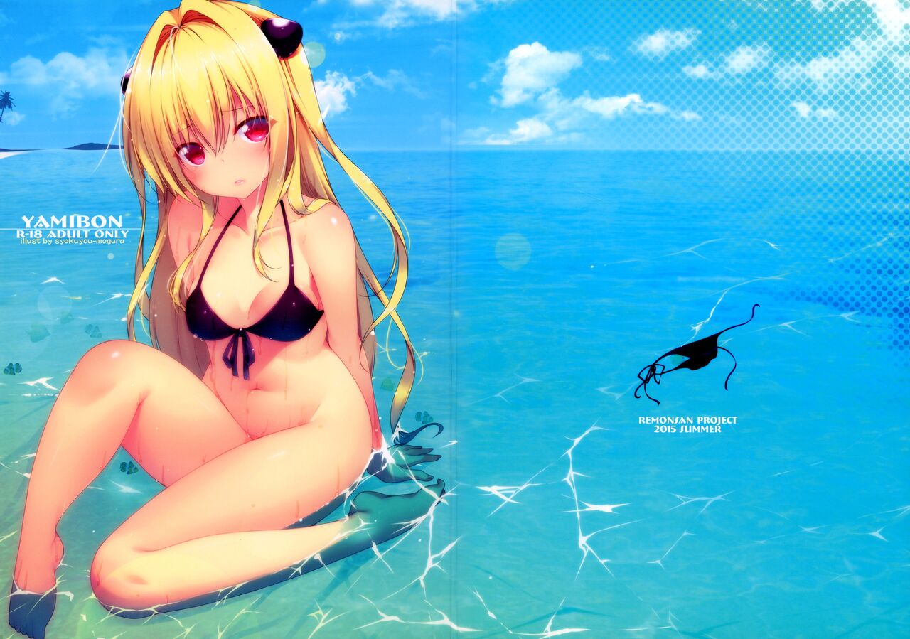 (C88) [Remonsan-Project (Syokuyou-mogura)] YAMIBON (ToLOVERu) Bildnummer 1