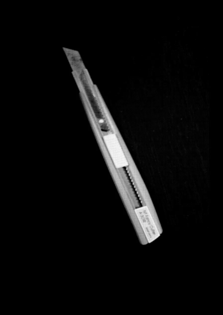 [A.M.P (Amu)] Hoshimiya Ichigo no Chitsu (Aikatsu!) [English] [Digital] 20eme image