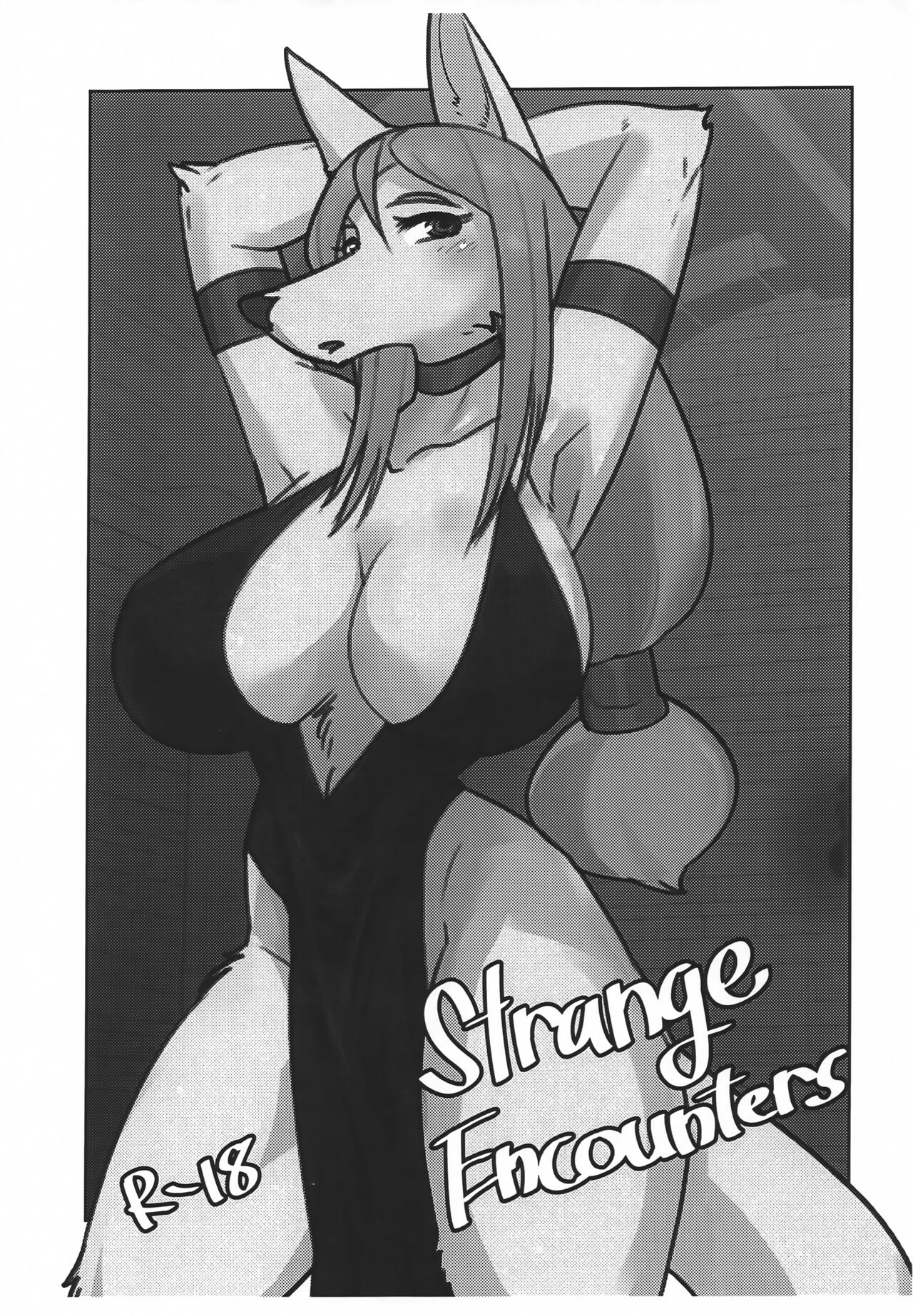 (Kemoket 12) [Hot Language (Kazuhiro)] Strange Encounters 이미지 번호 1