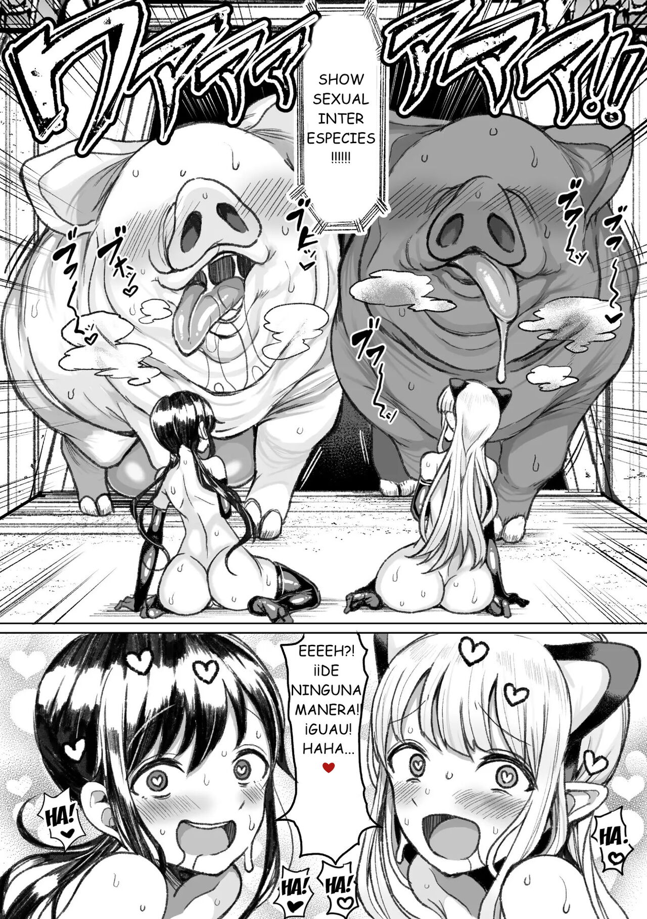 Tanetsuke Colosseum! Conception Colosseum! 3 imagen número 9