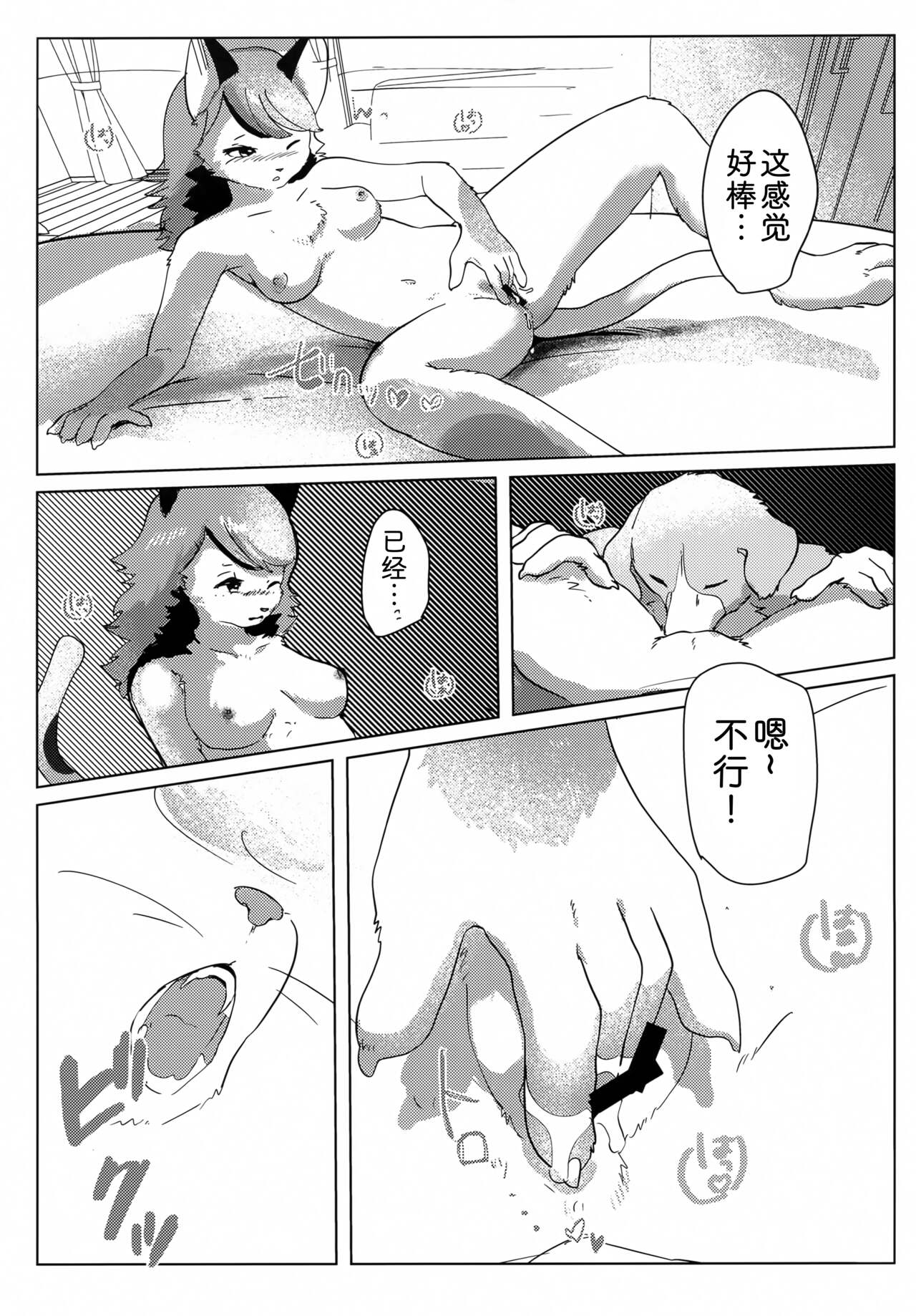 (Kemoket 12) [Kon Juuichibai (Momou)] Datte Inu Senpai no Koto Suki Nanda Mon! [Chinese] [zc2333] imagen número 12