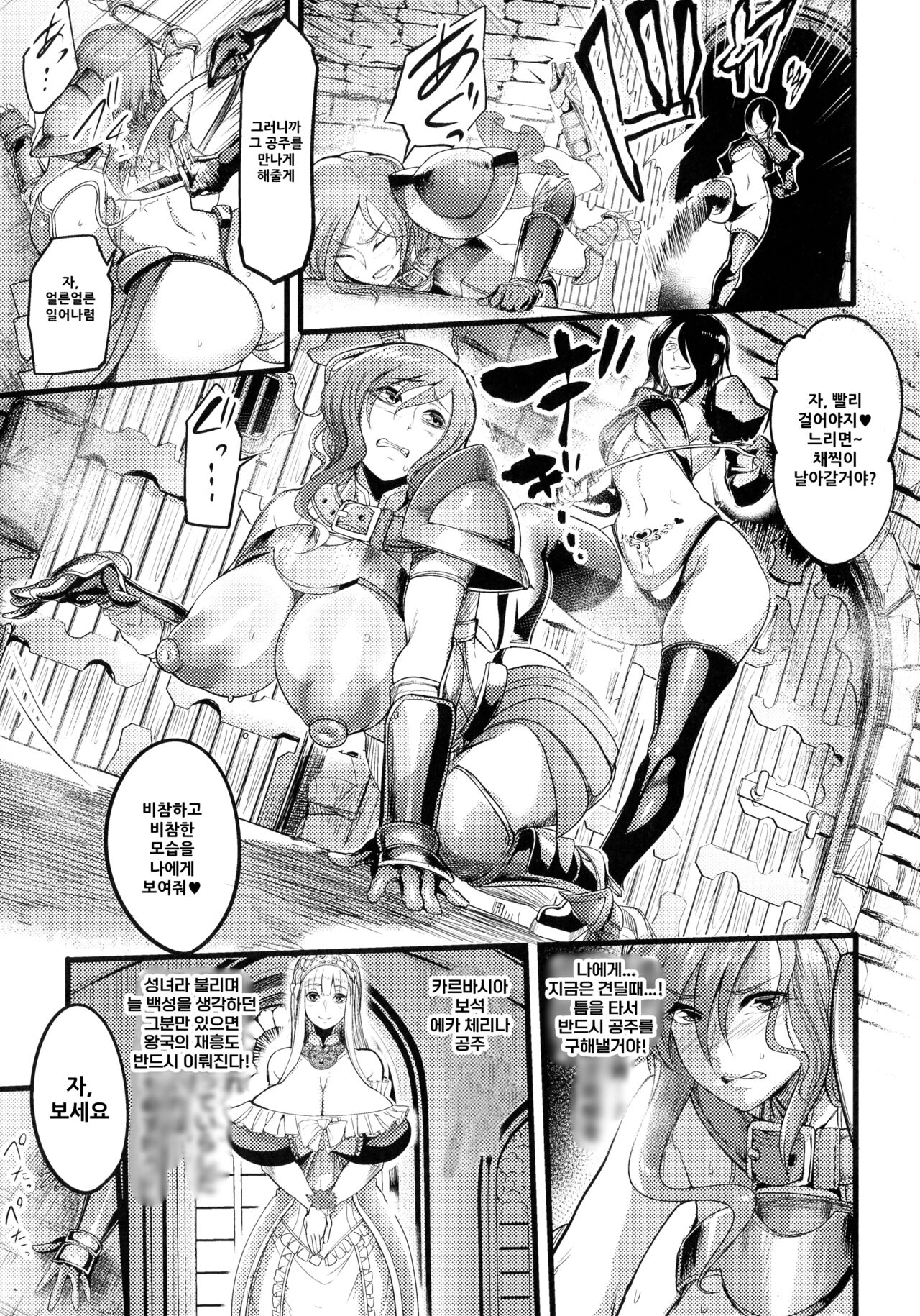 제국의 육변기~낙태된 공주와 여기사~ image number 3