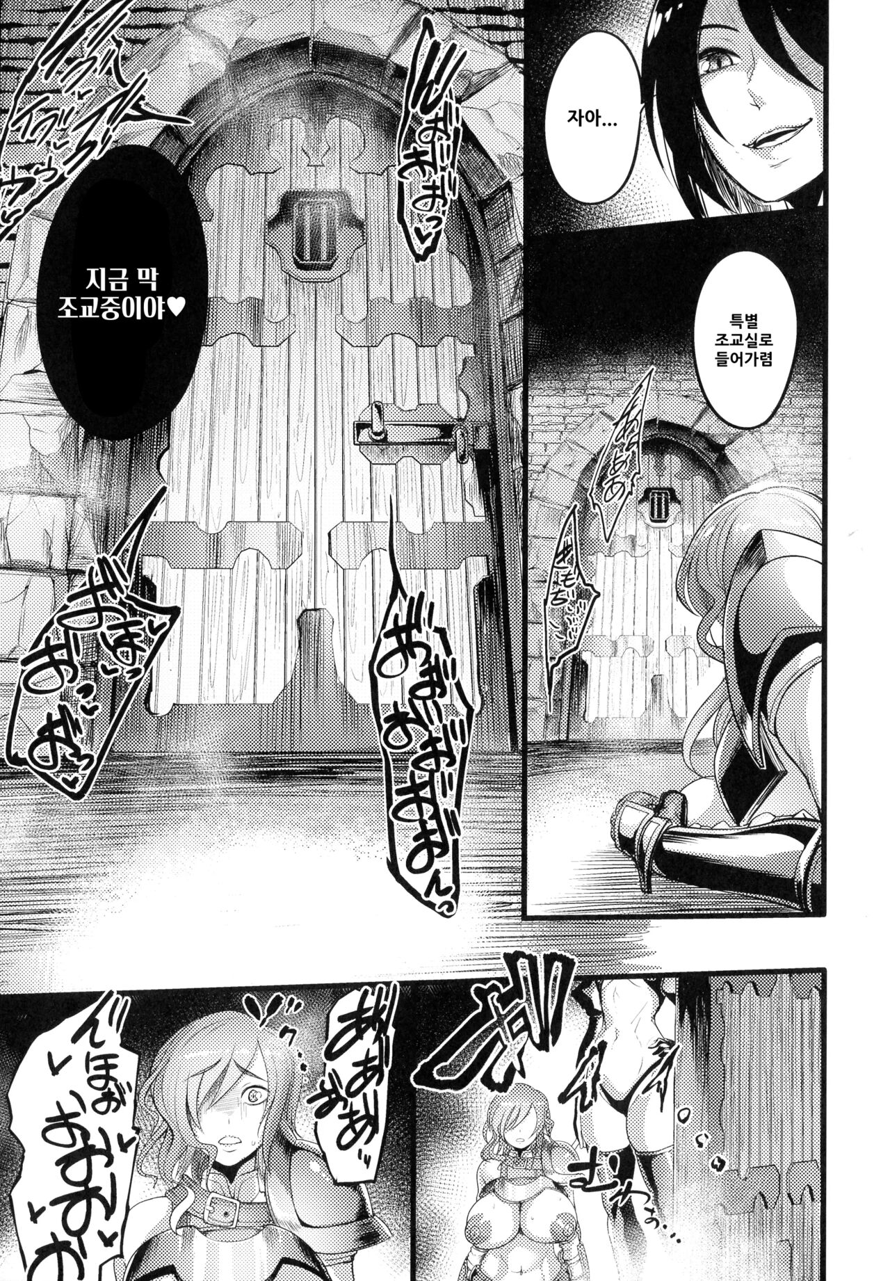 제국의 육변기~낙태된 공주와 여기사~ image number 7