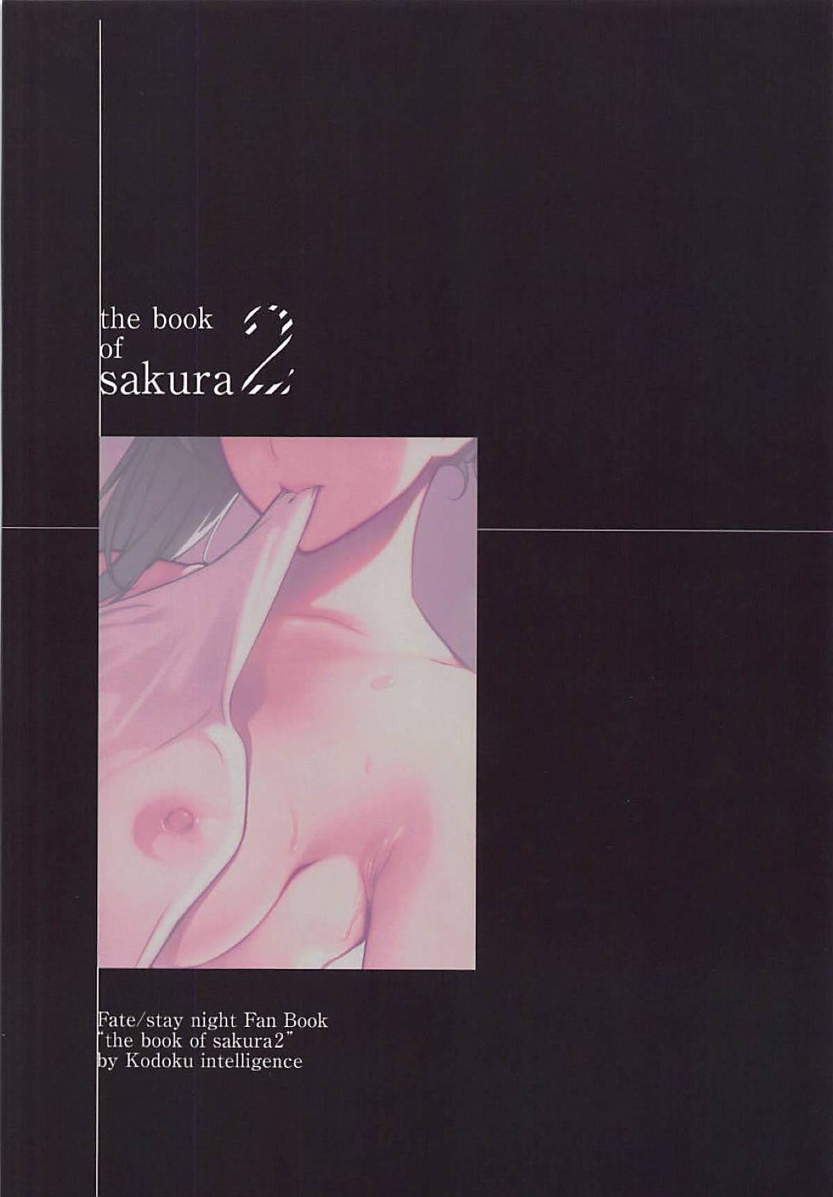 (C94) [Kodoku intelligence (Nanao)] THE BOOK OF SAKURA 2 (Fate/stay night) [English] [SquigglesJP] numero di immagine  17