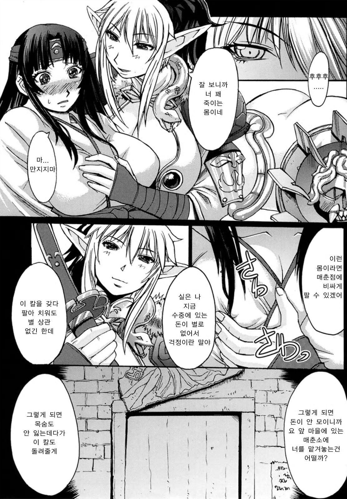 (C72) [Bakunyu Fullnerson (Kokuryuugan)] Gaishuu Isshoku (Queen's Blade) [Korean] 이미지 번호 8