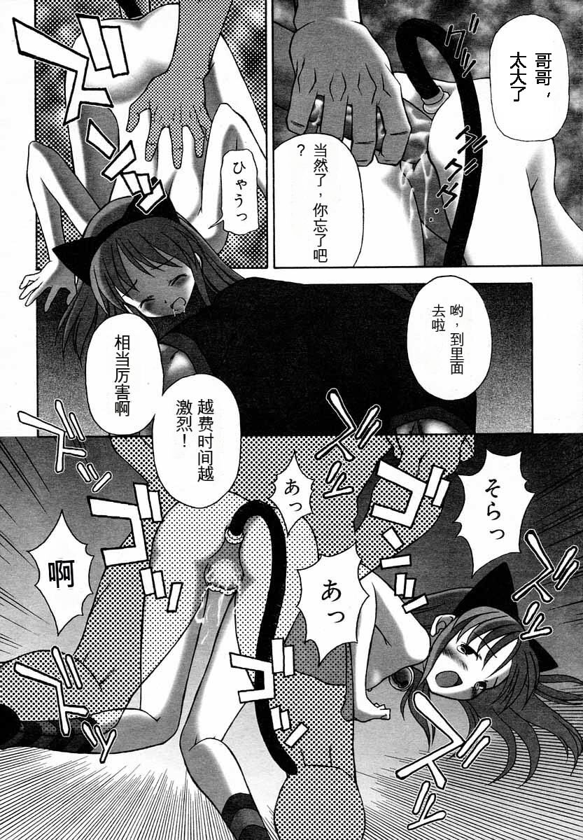 [金城皐月] 仔猫遊戯 (ひな缶Hi! VOL.06) Bildnummer 12