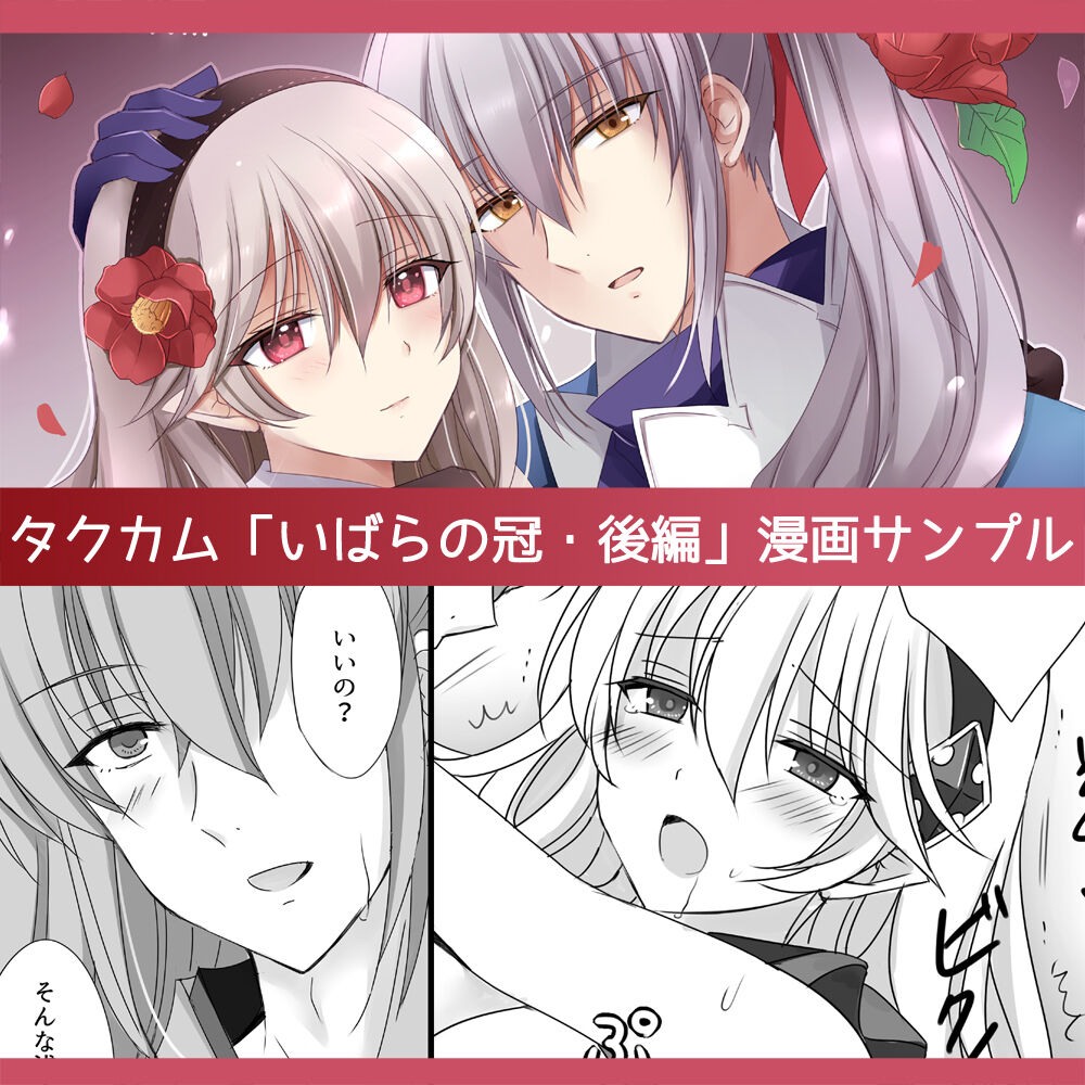 (Kirishima riona)] FEif takukamu manga sanpuru `ibaranokanmuri kōhen'[R 18](Fire Emblem: fates) numero di immagine  1