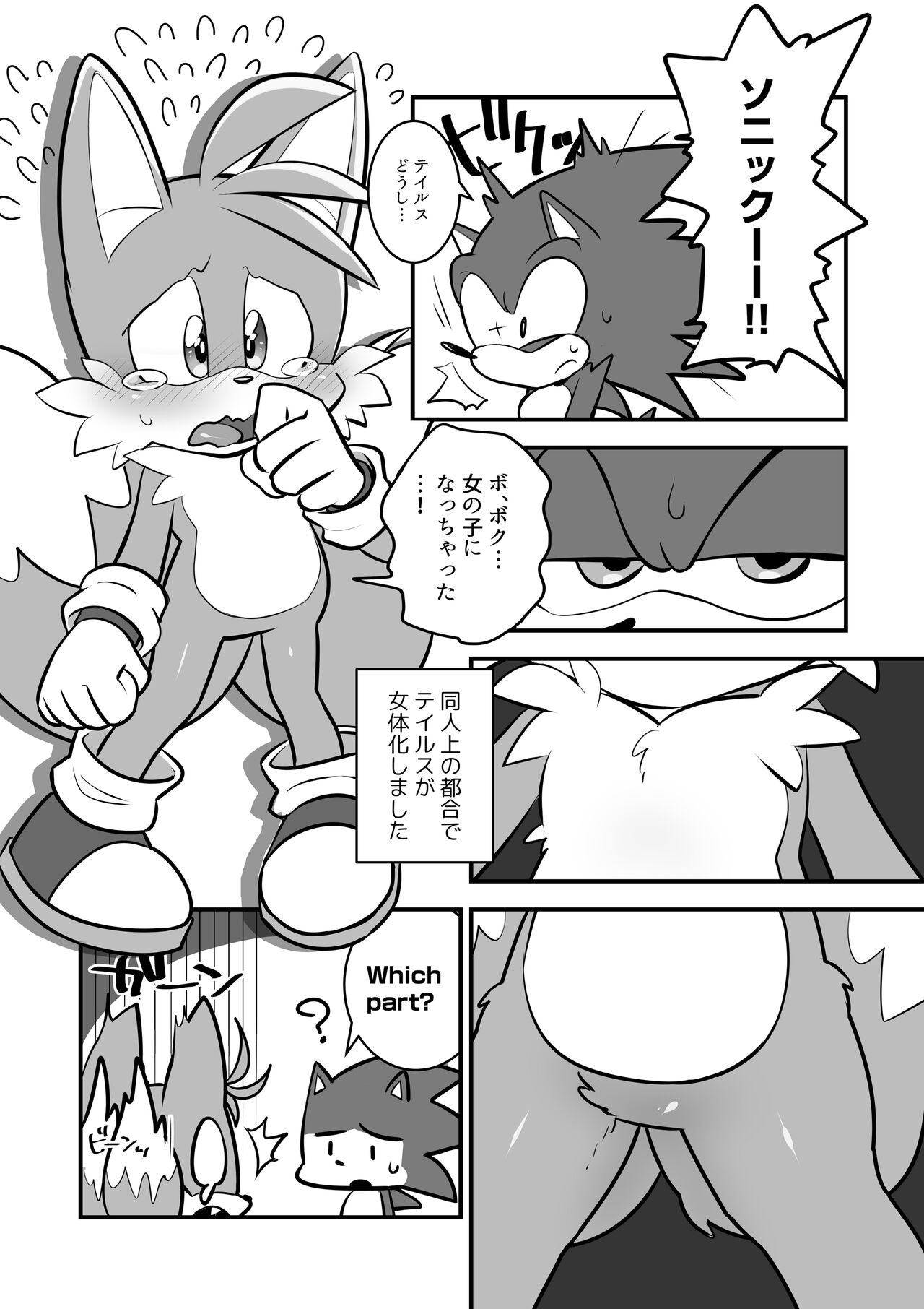 [hentaib] Tails and Sonic's special Fuss (Sonic the Hedgehog) 2eme image
