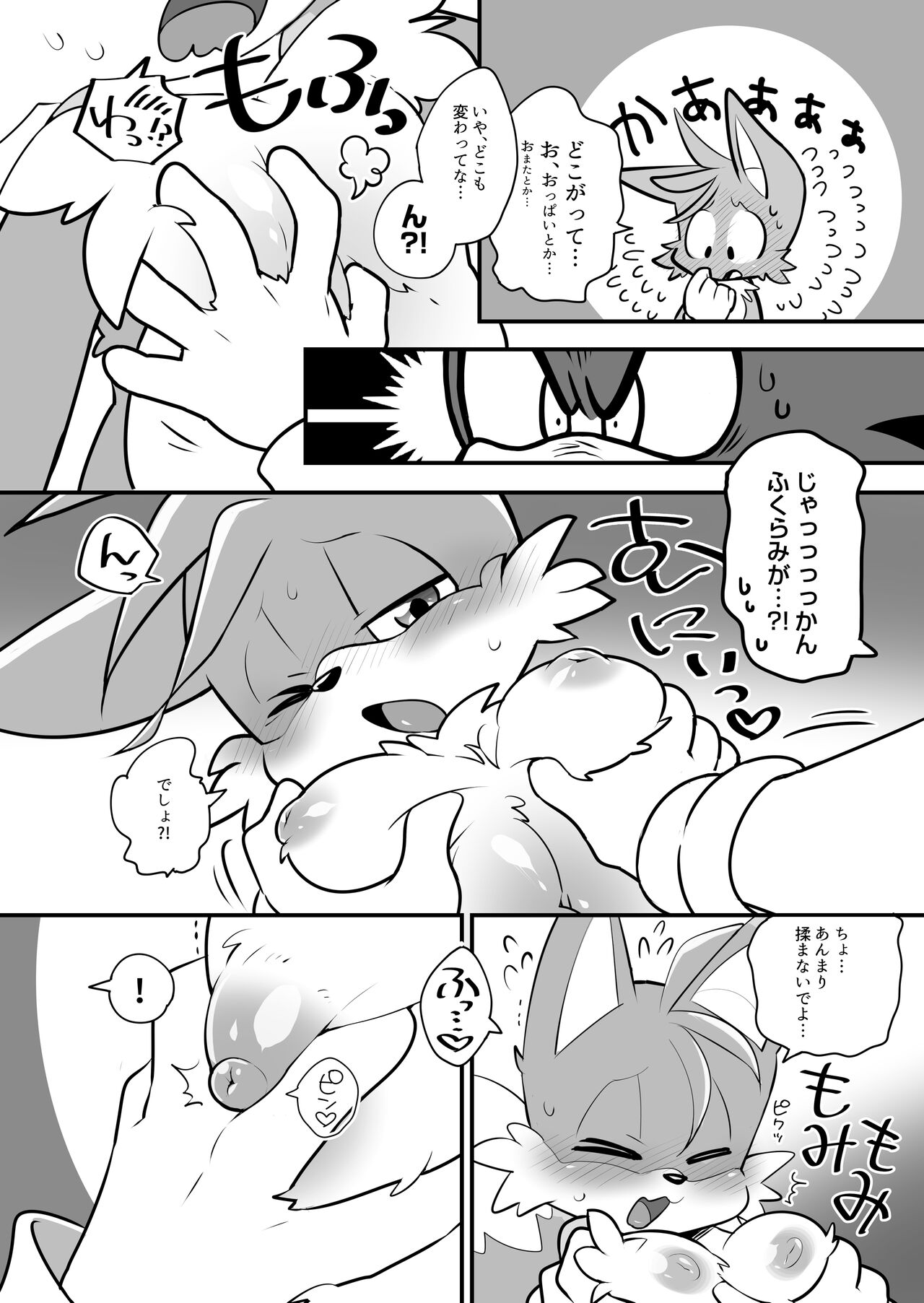 [hentaib] Tails and Sonic's special Fuss (Sonic the Hedgehog) 3eme image
