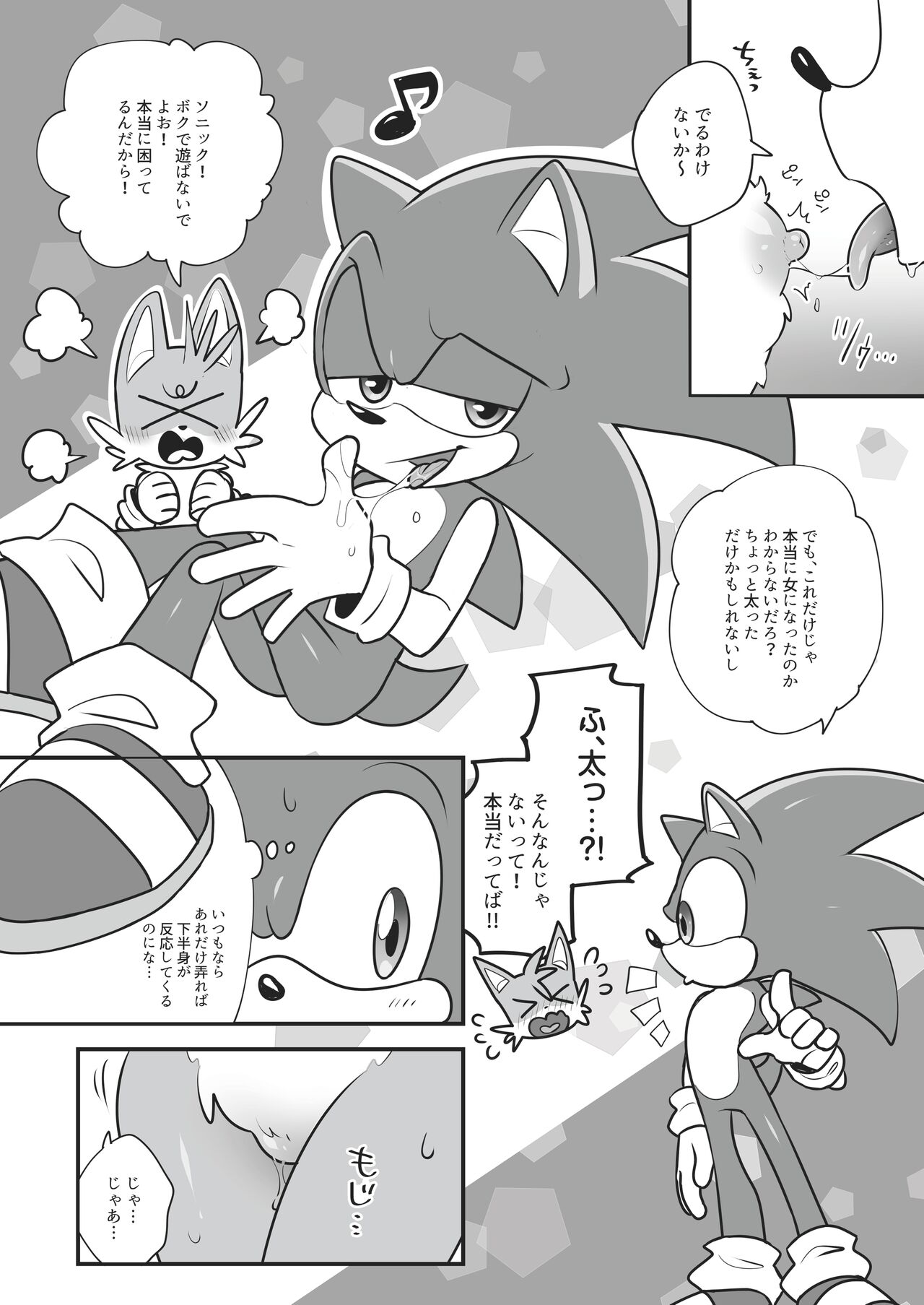 [hentaib] Tails and Sonic's special Fuss (Sonic the Hedgehog) 5eme image