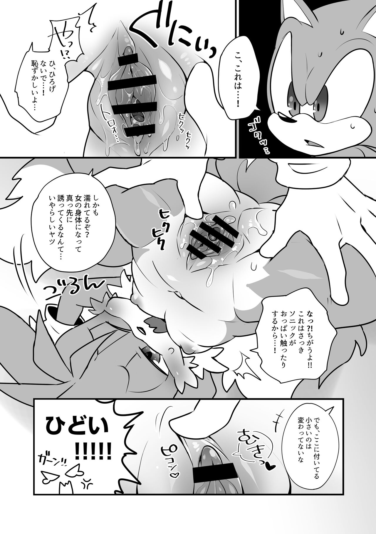 [hentaib] Tails and Sonic's special Fuss (Sonic the Hedgehog) 7eme image