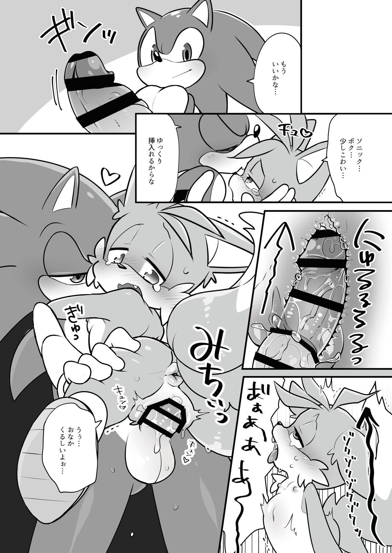 [hentaib] Tails and Sonic's special Fuss (Sonic the Hedgehog) 9eme image