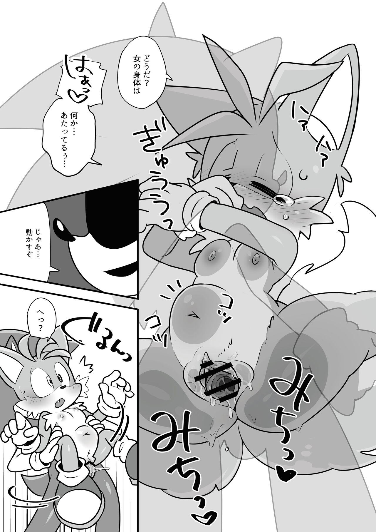 [hentaib] Tails and Sonic's special Fuss (Sonic the Hedgehog) 10eme image