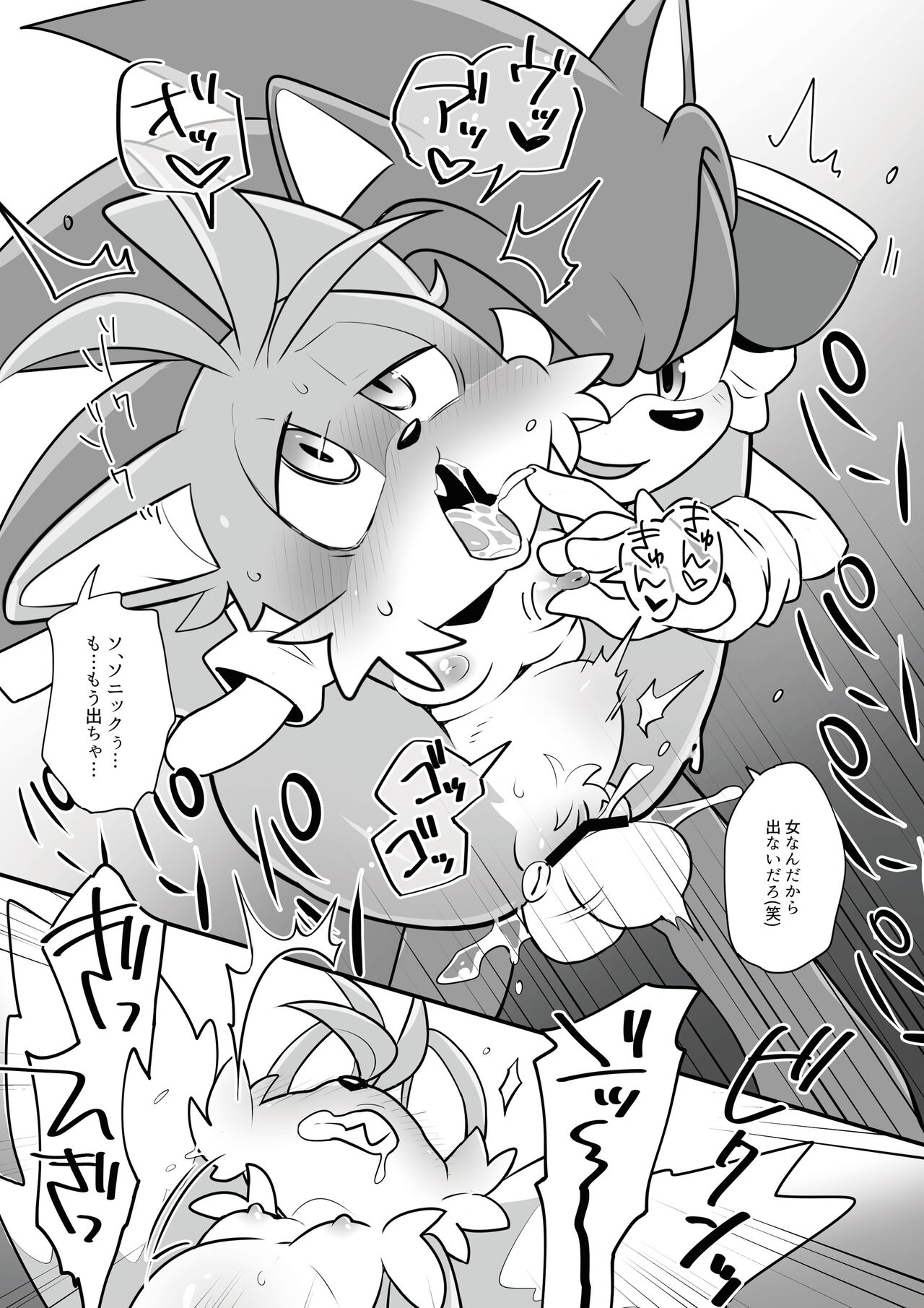 [hentaib] Tails and Sonic's special Fuss (Sonic the Hedgehog) 12eme image