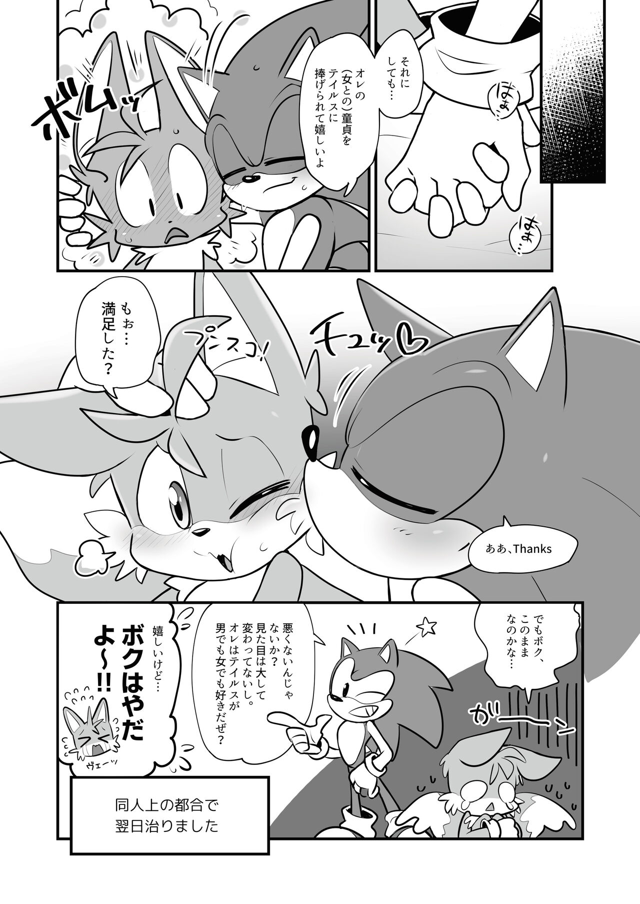 [hentaib] Tails and Sonic's special Fuss (Sonic the Hedgehog) 15eme image