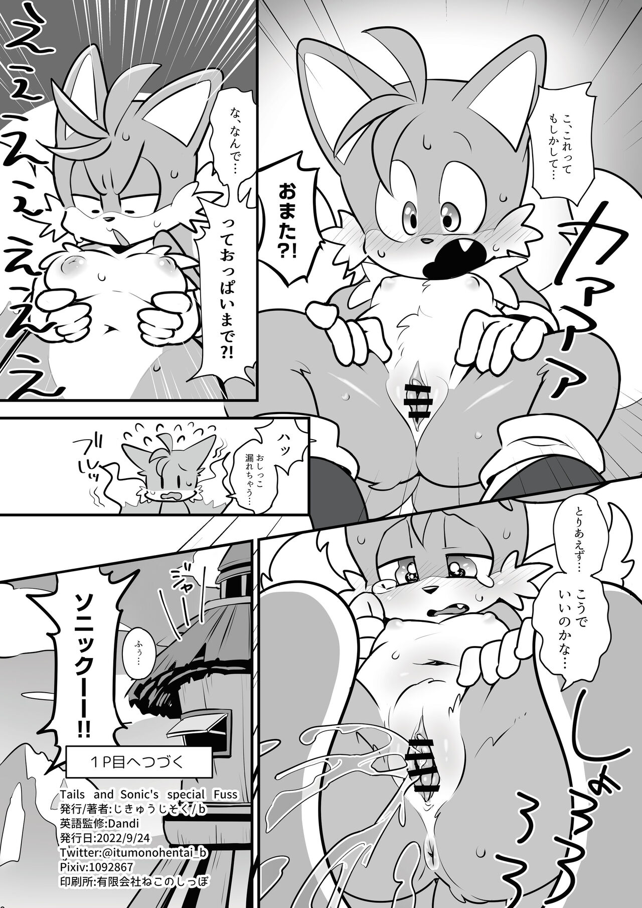 [hentaib] Tails and Sonic's special Fuss (Sonic the Hedgehog) 17eme image