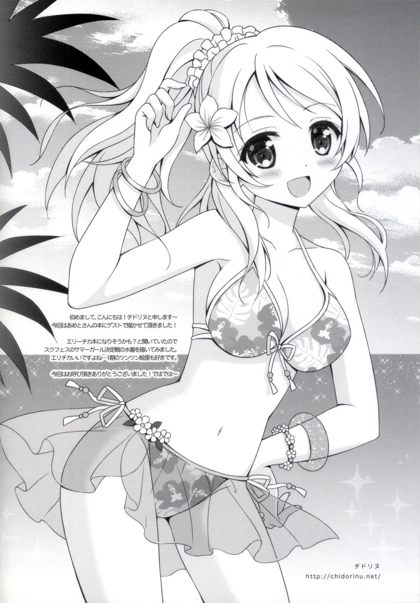 (C86) [Ame nochi Yuki (Ameto Yuki)] KKE SUMMER (Love live!) [Portuguese-BR] Bildnummer 15