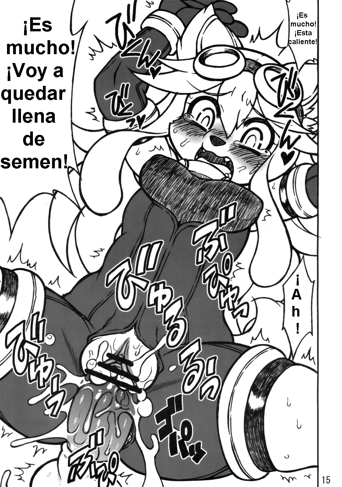 (Fur-st 3) [Mayoineko (Various)] CROSS CODA (Solatorobo) [Spanish] [Neko Yuri] Bildnummer 14