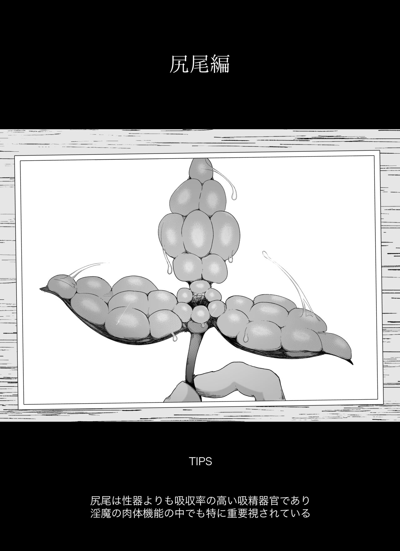 [イキヌキ。] 【尻尾編】魔道具屋の局部責め調教日誌 图片编号 22