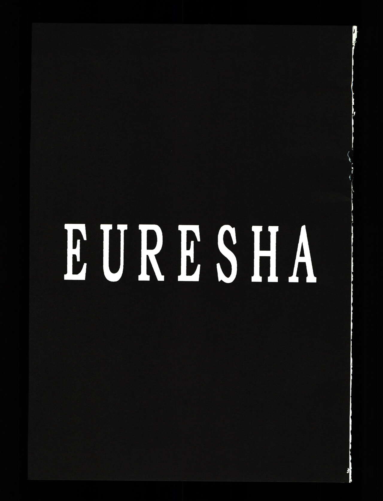 (C59) [Strawberry Nipple (Yasuhara Tsukasa)] -DARCROWS- EURESHA (Darcrows) 图片编号 5