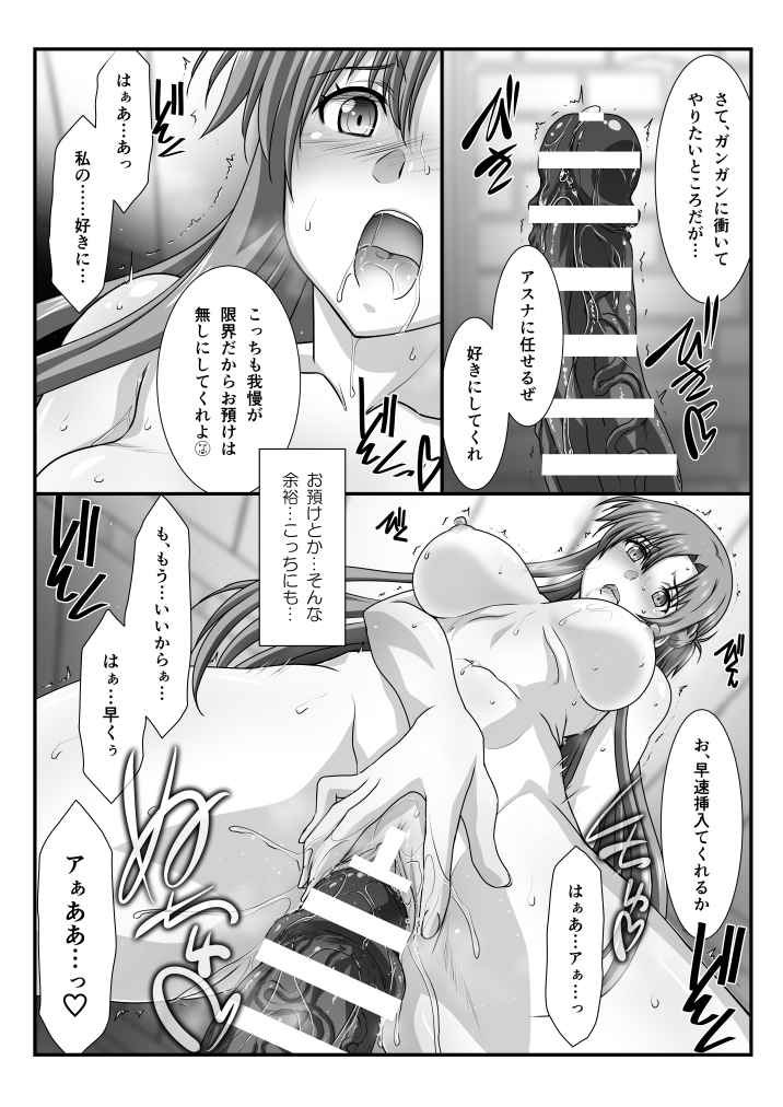 (C101) [STUDIO TRIUMPH (Mutou Keiji)] Astral Bout Ver. 46 (Sword Art Online) [Sample] Bildnummer 3