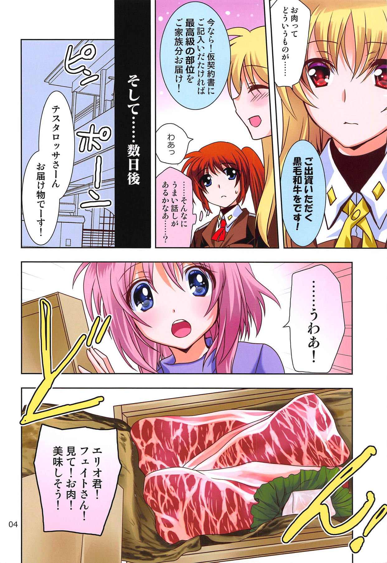 (COMIC1☆15) [PLUM (Kanna)] Magical SEED BBQ (Mahou Shoujo Lyrical Nanoha) 图片编号 3