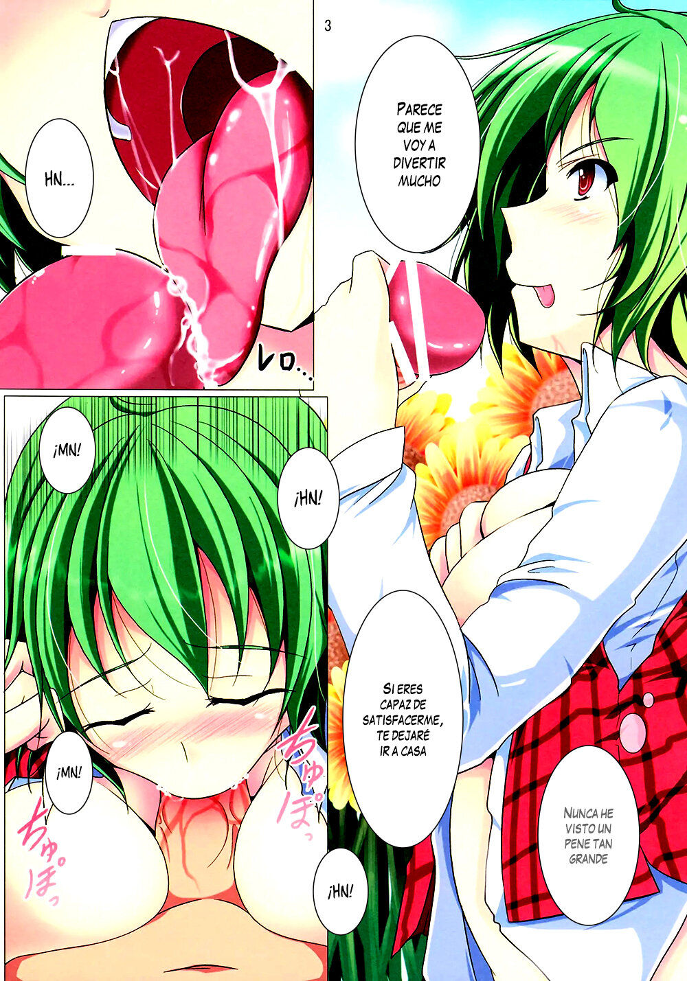 (SC53) [Penetrate (Reiha)] Yuuka H Taiyou no Hata Nite | Un Doujinshi H de Yuuka en el Jardin del Sol (Touhou Project) [Spanish] image number 4