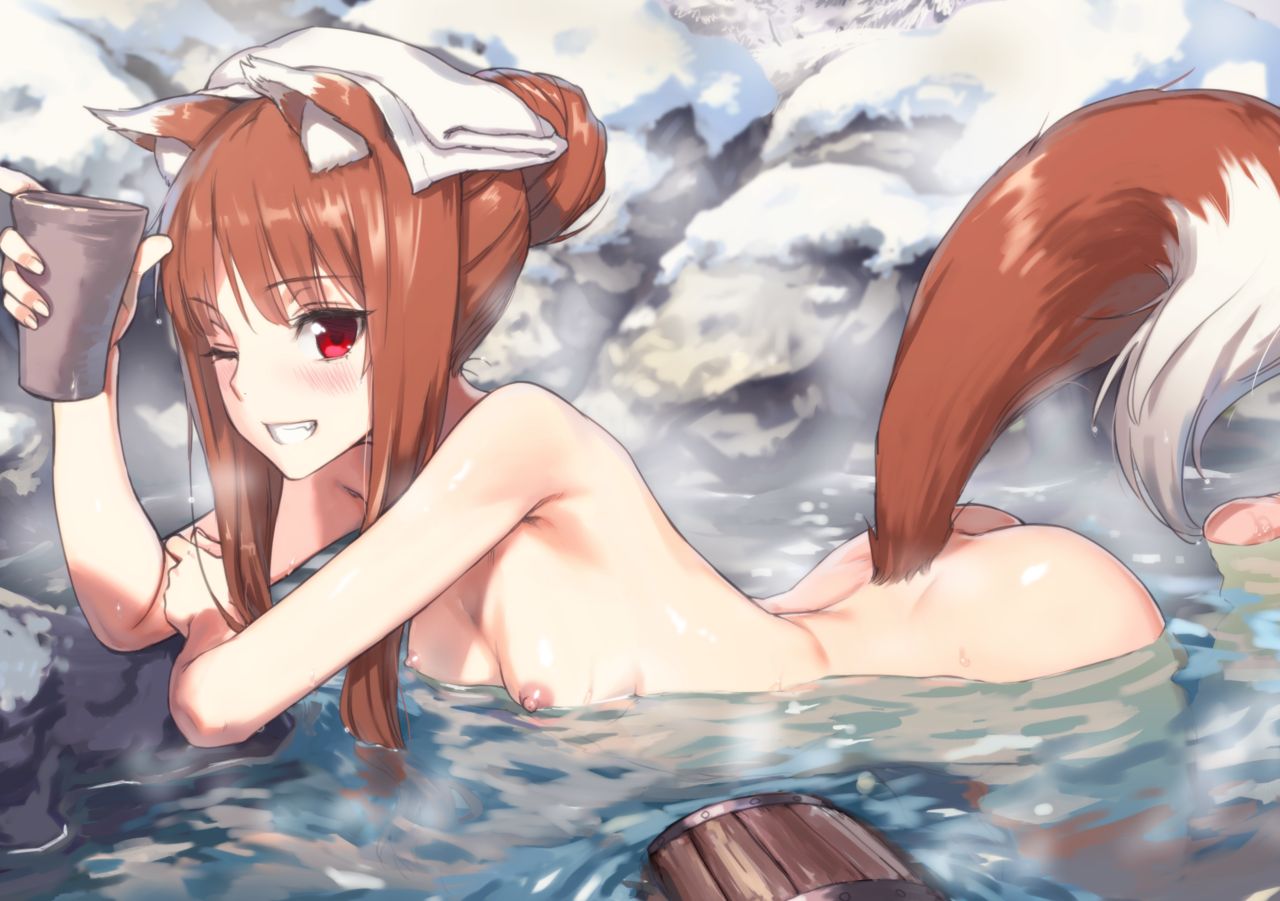 [Ajisaidenden (Kawakami Rokkaku, Takanashi Rei)] Wacchi to Nyohhira Bon FULL COLOR DL Omake (Spice and Wolf) [English] {shippoTranslations} [Digital] [Decensored] 图片编号 2