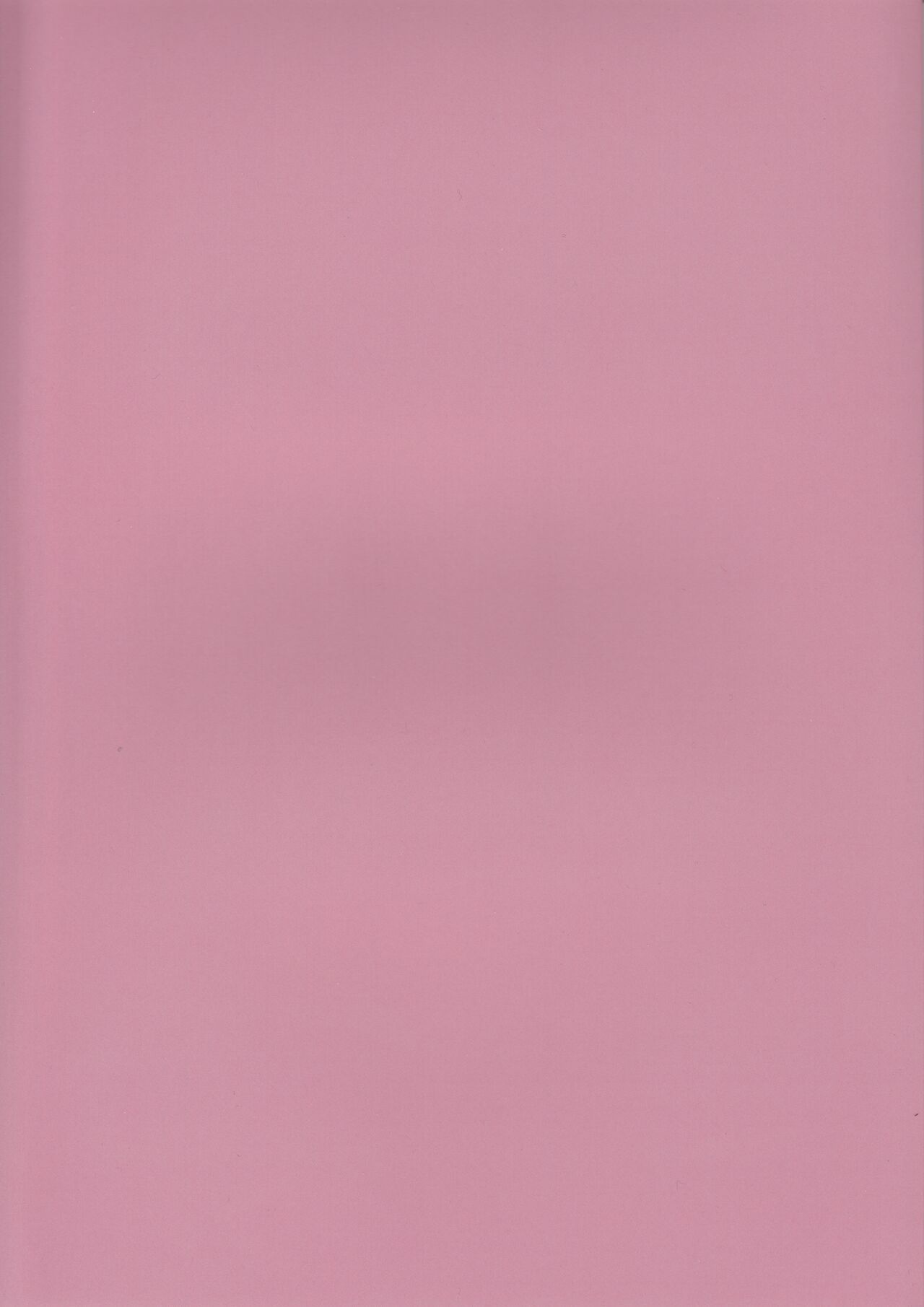 (C101) [SSS.Iinkai (Xsan)] Miyu no Tokusei Kosu |美游的定制cos(Blue Archive)[notuzi个人汉化] изображение № 24