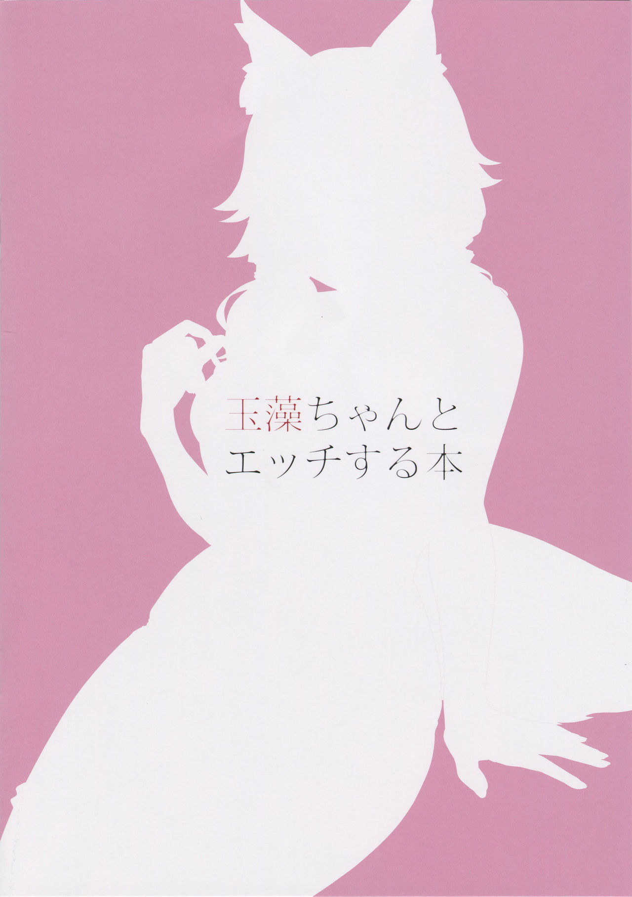 (C95) [Oinari Summer (Gorima Tsuchio)] Tamamo-chan to Ecchi Suru Hon | 타마모 쨩이랑 섹스하는 책 (Fate/Grand Order) [Korean] [Team AteLieR] 17eme image