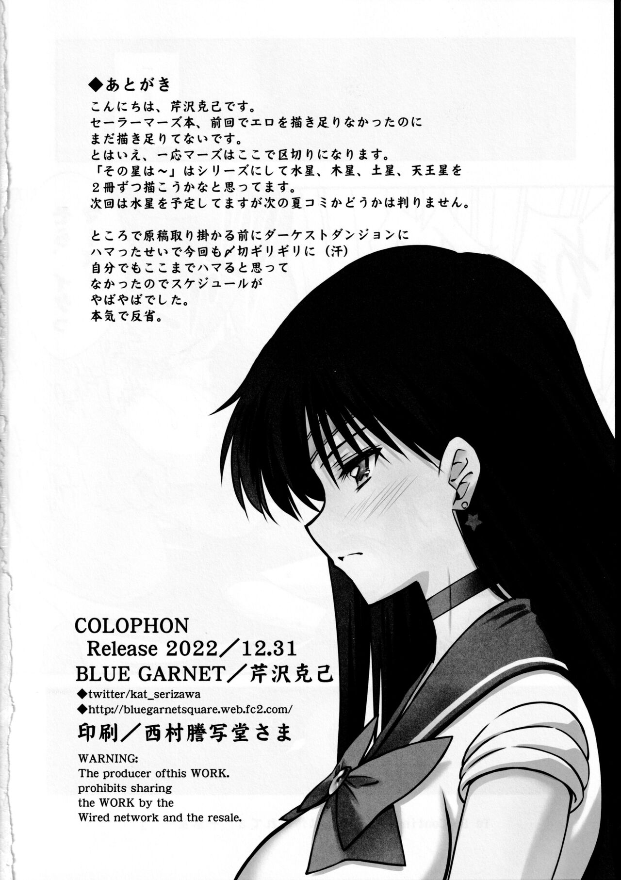 (C101) [BLUE GARNET (Serizawa Katsumi)] Sono Hoshi wa Kegasarete 2 (Bishoujo Senshi Sailor Moon) Bildnummer 17