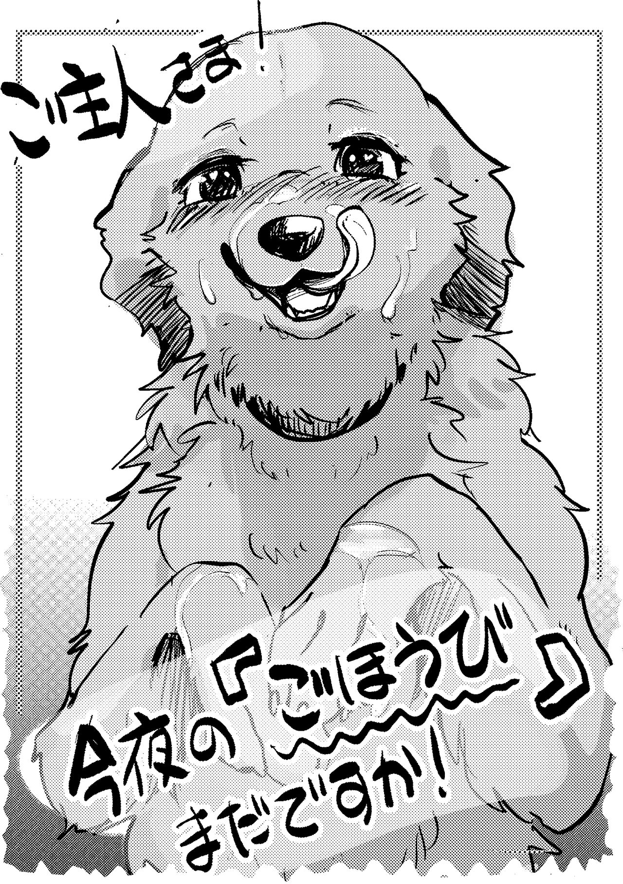 [Kon Juuichibai (Momou)]Goshujin-sama! Konya wa no "Gohoubi" Madadesuga! [digital][uncensored] image number 1