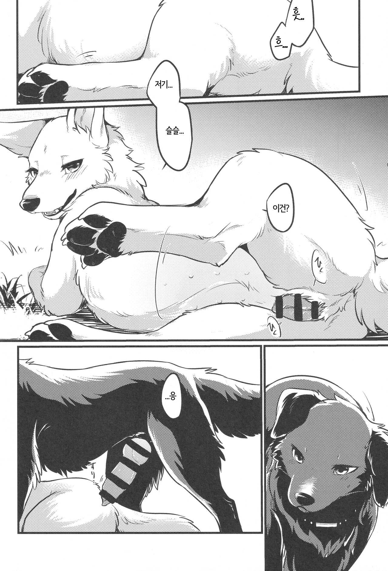 (Kemoket 11) [Kaiten ParaDOGs (Minaga Tsukune)] Hakoniwa Jealousy | 모형 정원 질투 [Korean] 图片编号 15