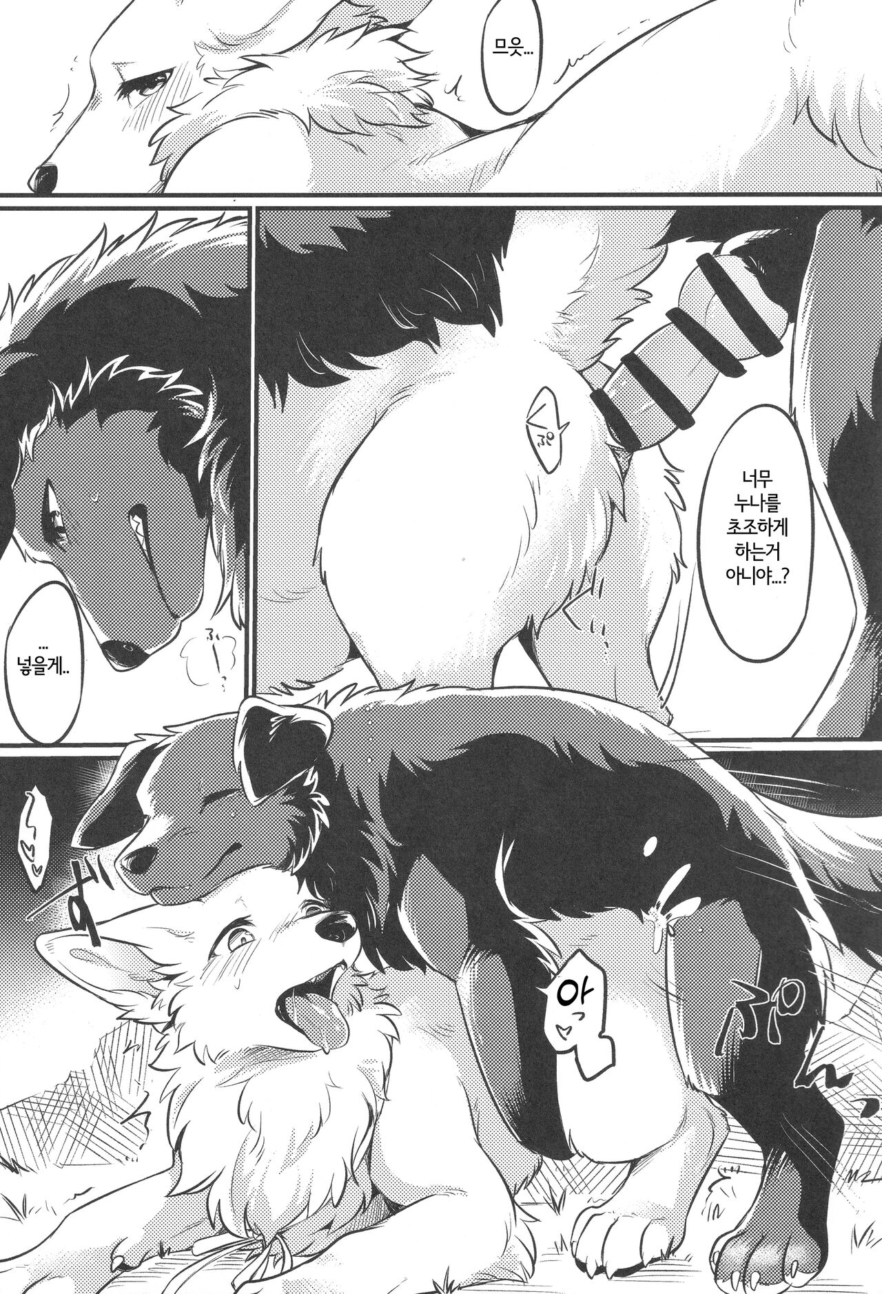 (Kemoket 11) [Kaiten ParaDOGs (Minaga Tsukune)] Hakoniwa Jealousy | 모형 정원 질투 [Korean] 图片编号 16