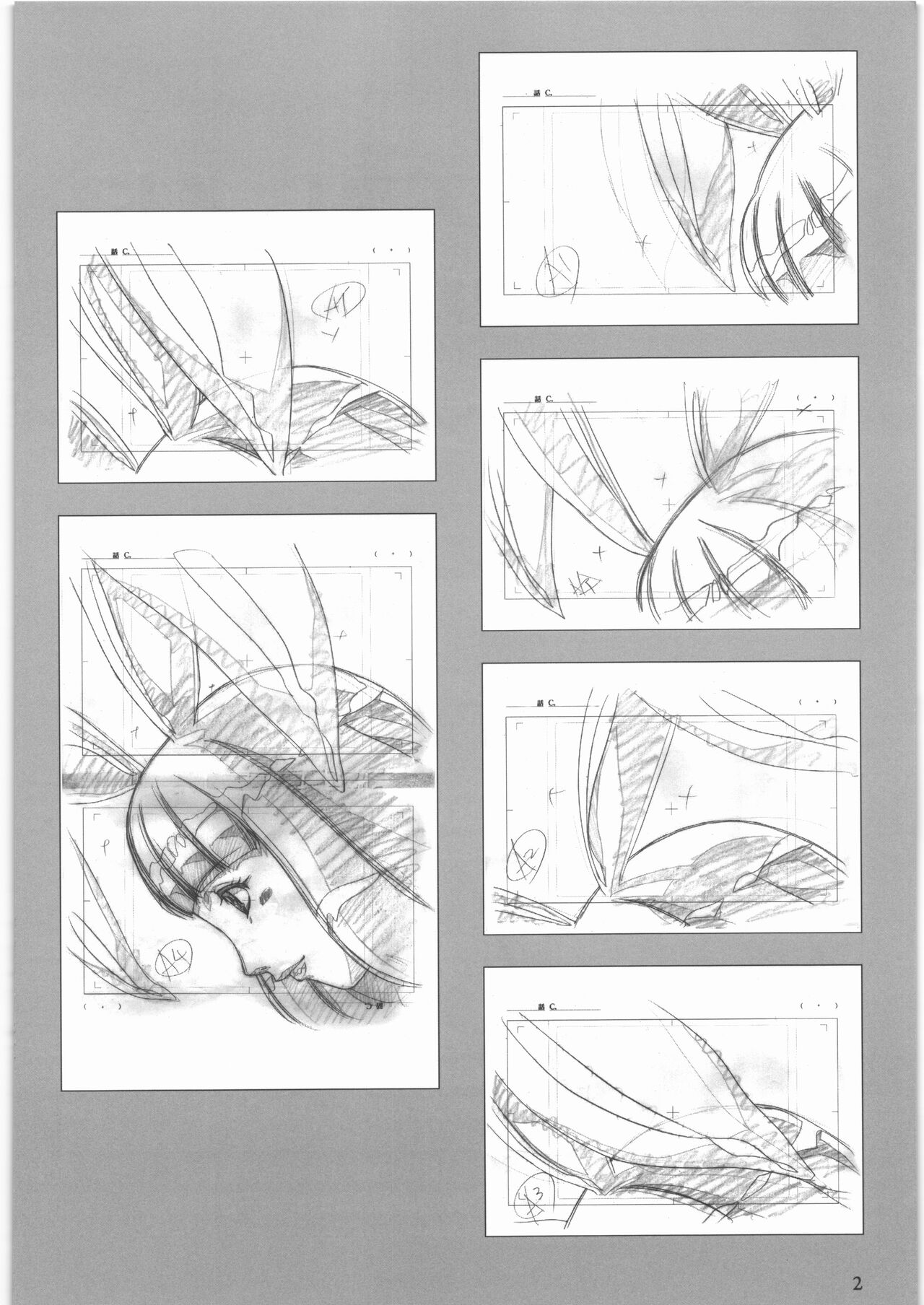 [大好き!!ビーチクン] うるし原智志 原画集 クイーンズブレイド -玉座を継ぐもの- エンディング изображение № 3