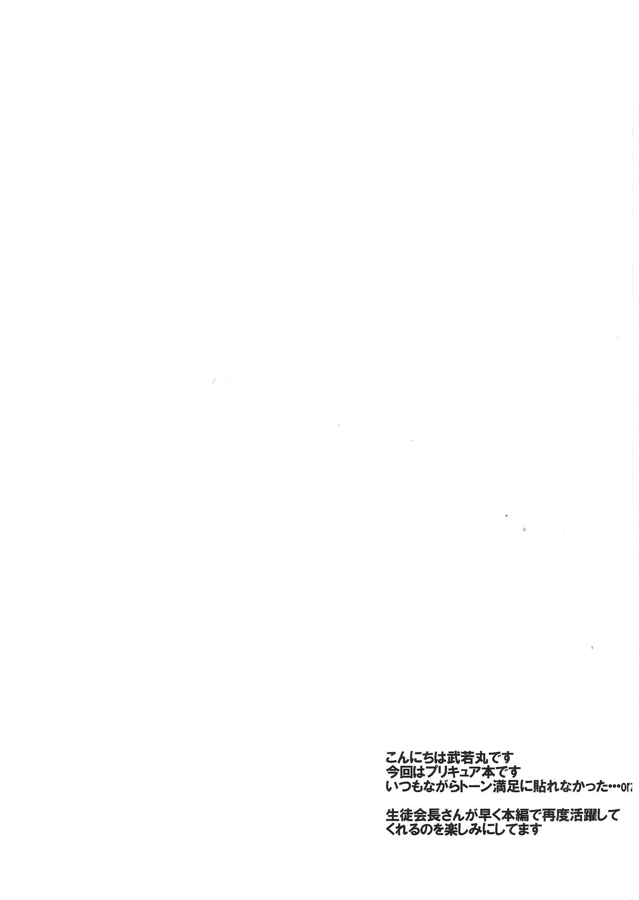 (SUPER19) [RIRIADOLL (Takewakamaru)] Seitokaichou-san no Gokitai doori! | Just as the Student Council President Anticipated! (HeartCatch PreCure!) [English] [/u/ scanlations] image number 3