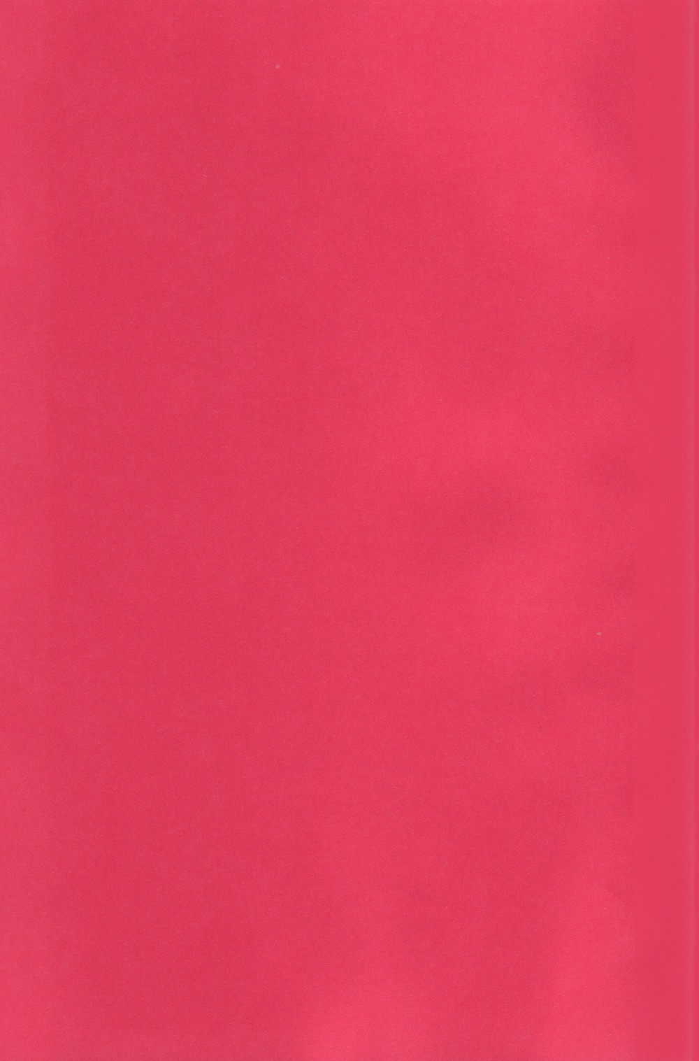 [沖縄体液軍人会 (安永航一郎)] ちっちゃな招待所♪ image number 26