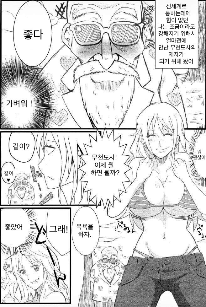 (C84) [Kairanban (Emine Kendama)] Benten Kairaku 24 Nami Nori Kame (One Piece, Dragon Ball) 이미지 번호 2