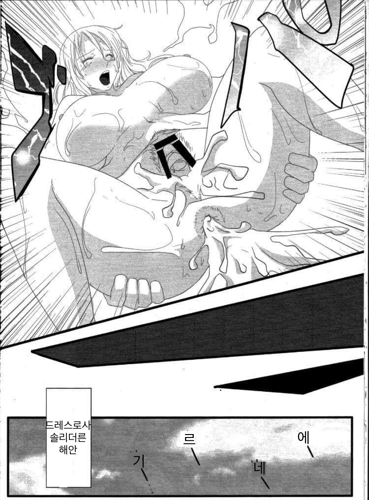 (C84) [Kairanban (Emine Kendama)] Benten Kairaku 24 Nami Nori Kame (One Piece, Dragon Ball) 이미지 번호 19